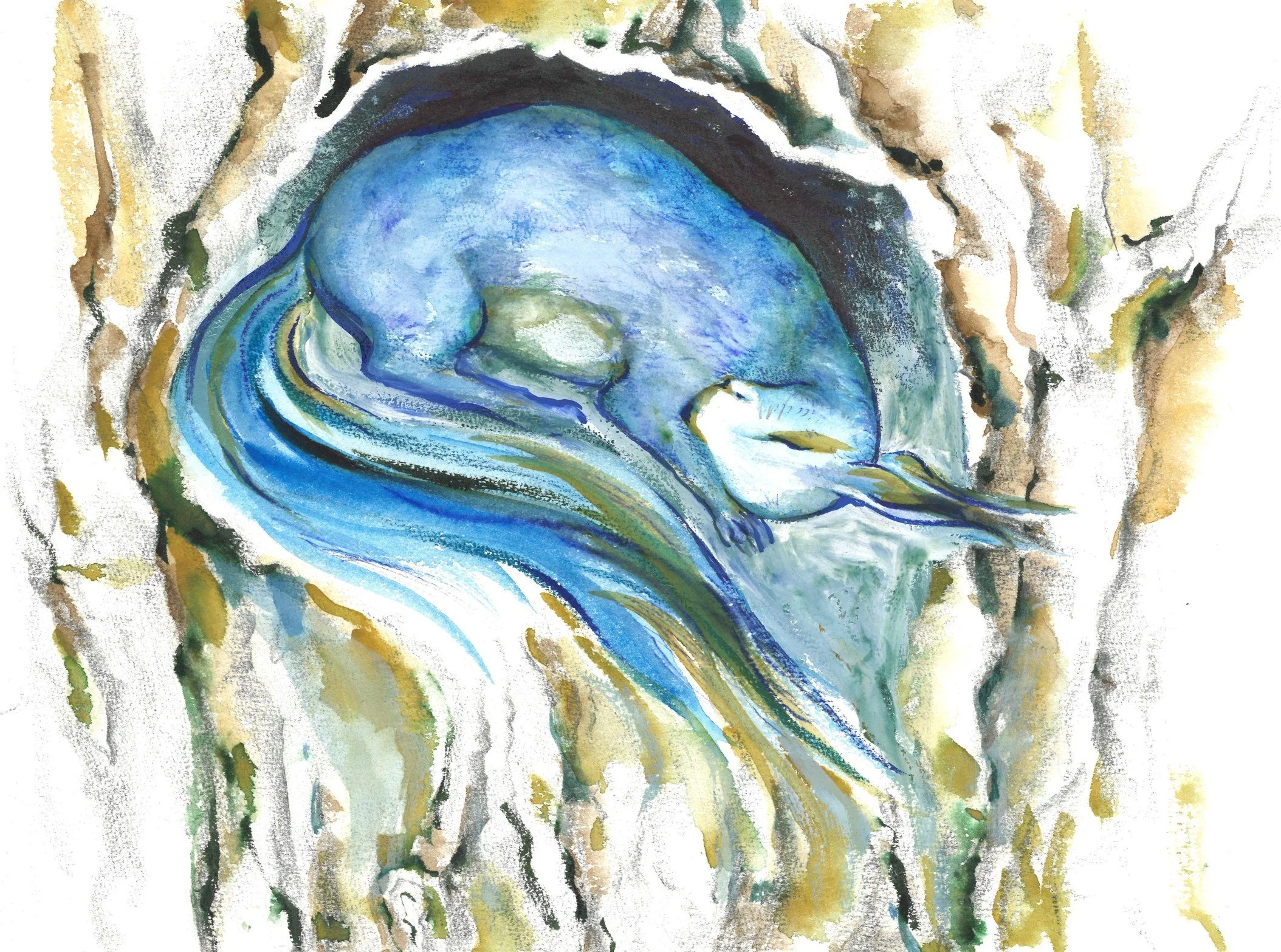 Fluffy, das wunderliche Eichhorn vom Aussenseiter zum Star