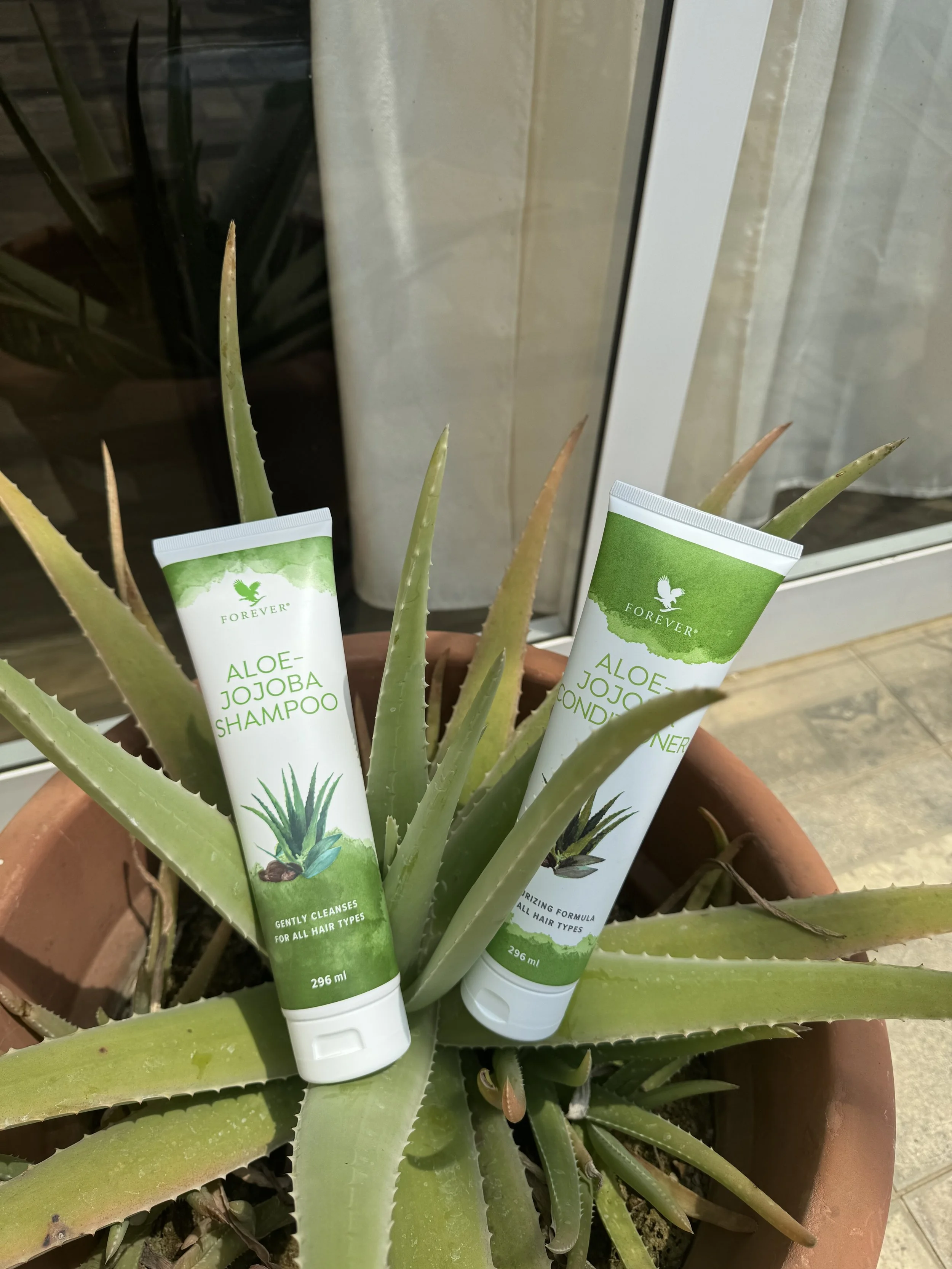 Aloe-Jojoba Shampoo/Aloe-Jojoba Conditioner