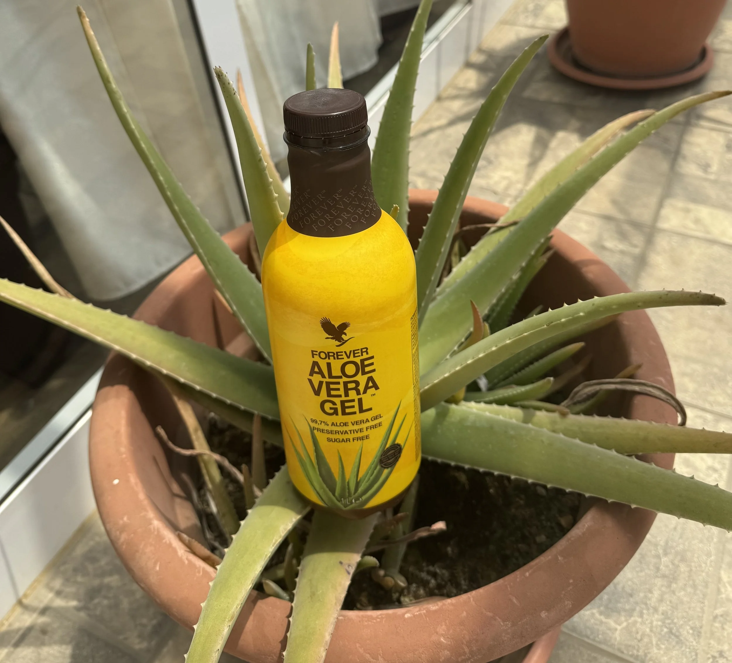 Forever Aloe Vera Gel