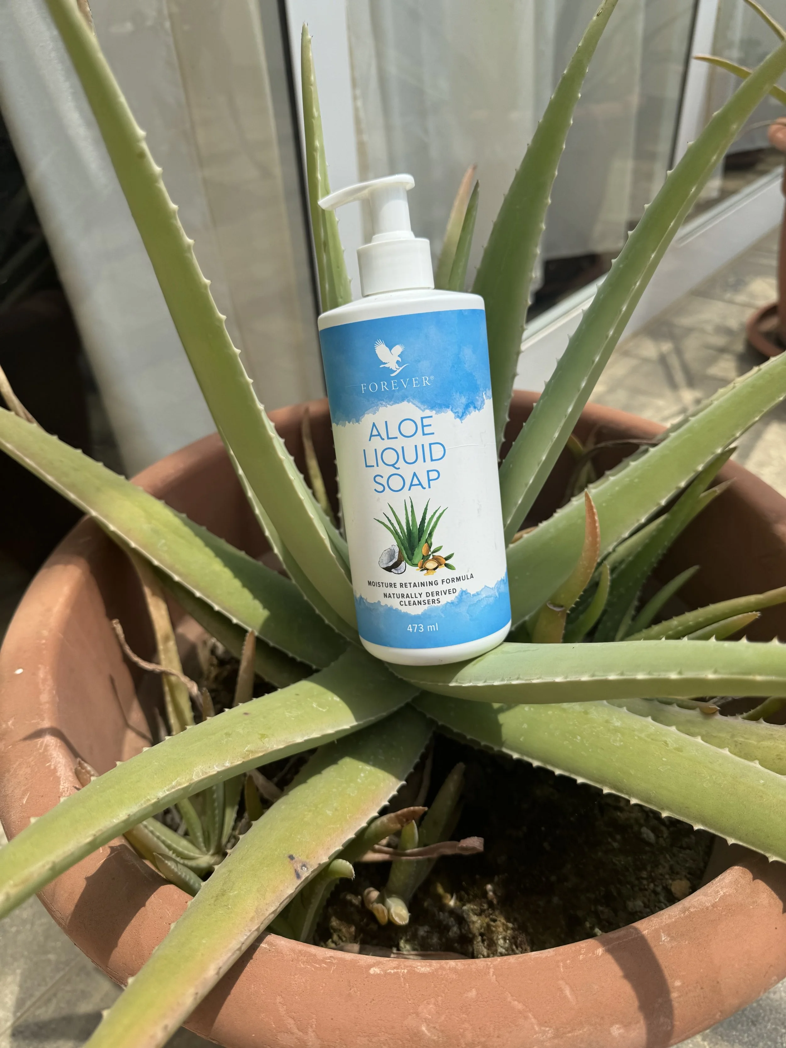 Aloe Liquid Soap