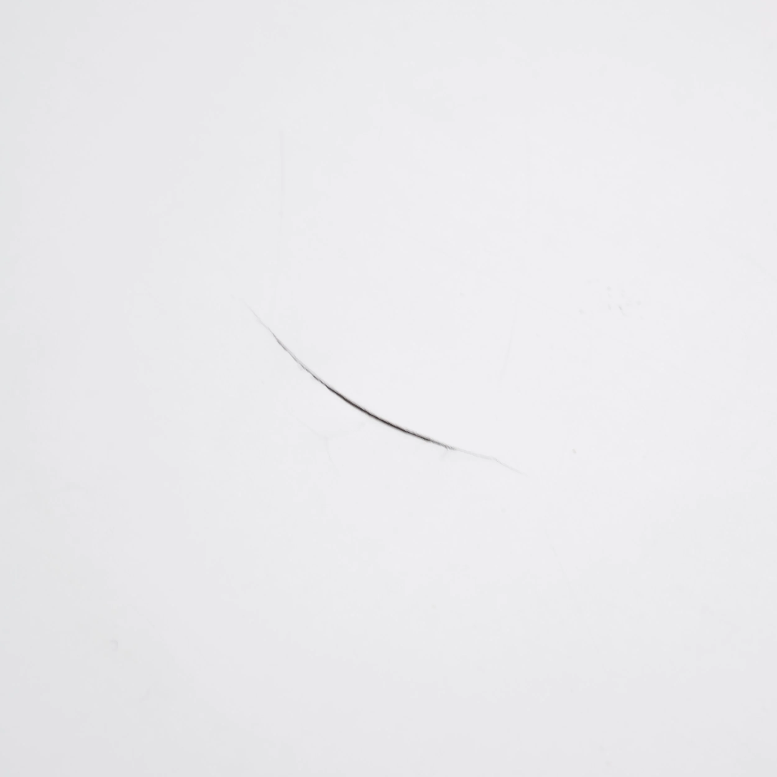 IMG_4072.png