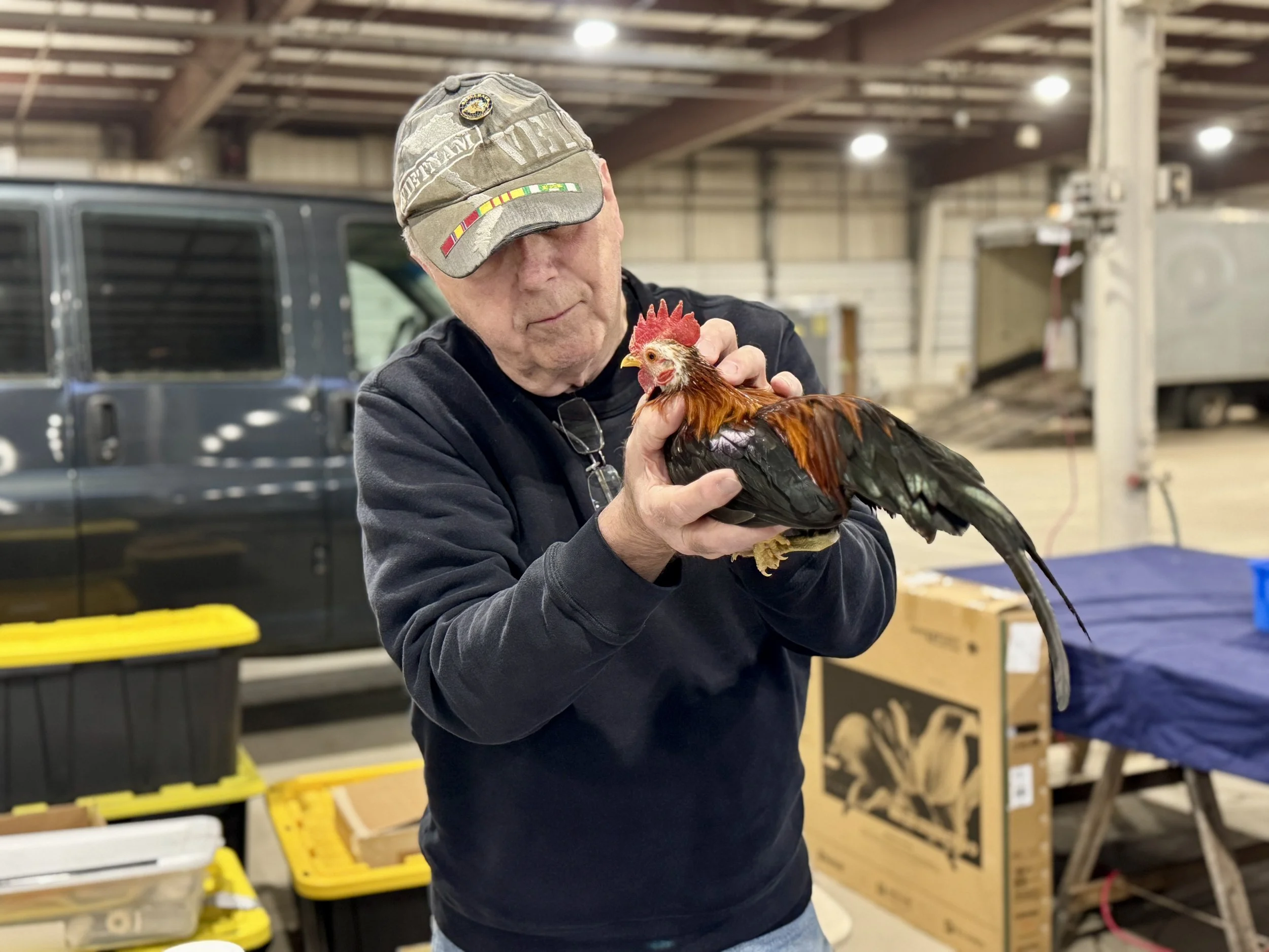 Chicken Doc Consultation