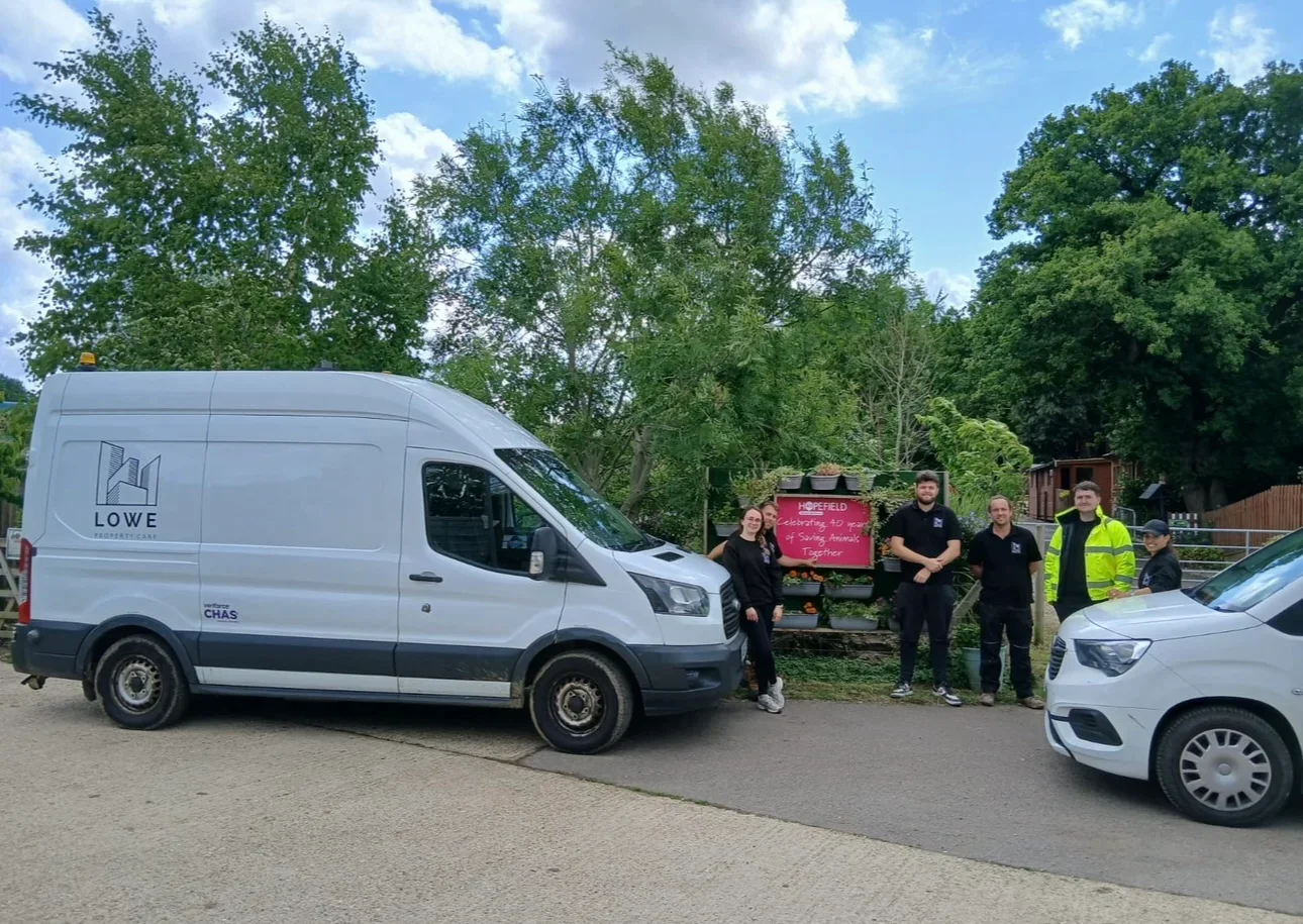 Team Volunteer Day at Hopefield Animal Sanctuary
