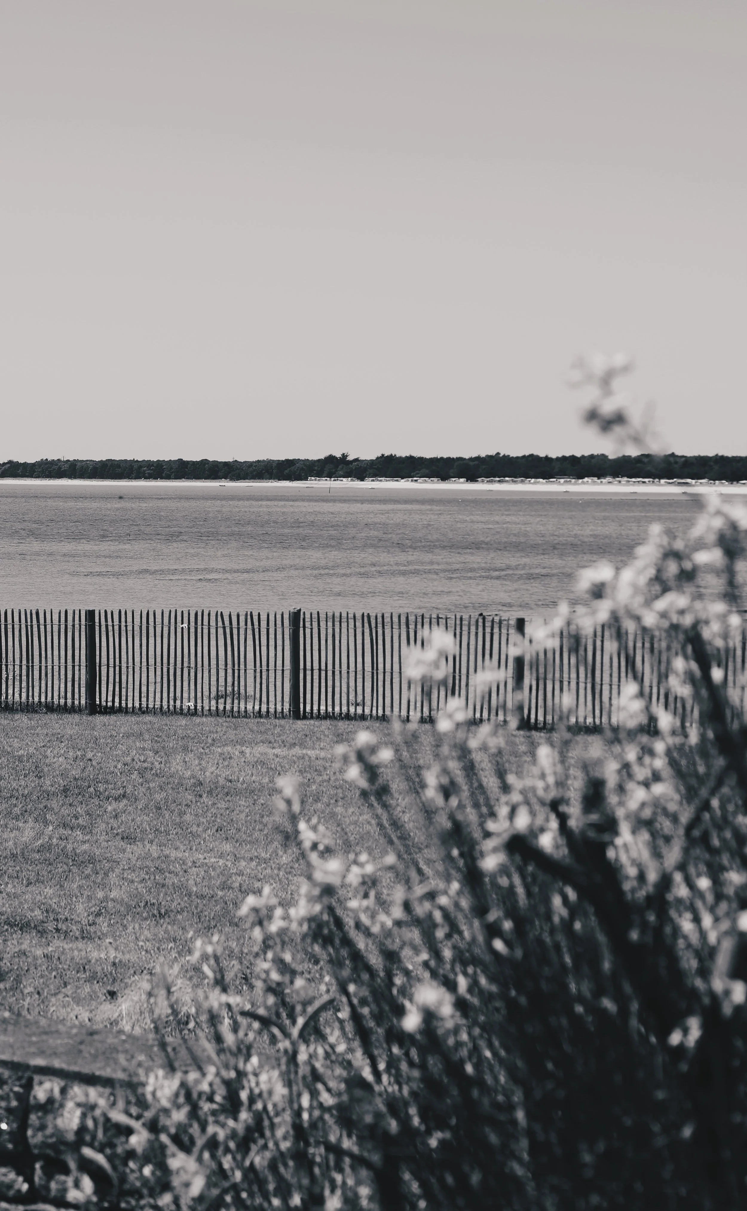 Une scène de plage en noir et blanc avec une clôture en bois, de l'eau, une végétation floue au premier plan, et une silhouette de fumée ou d'une explosion à l'arrière-plan au loin.