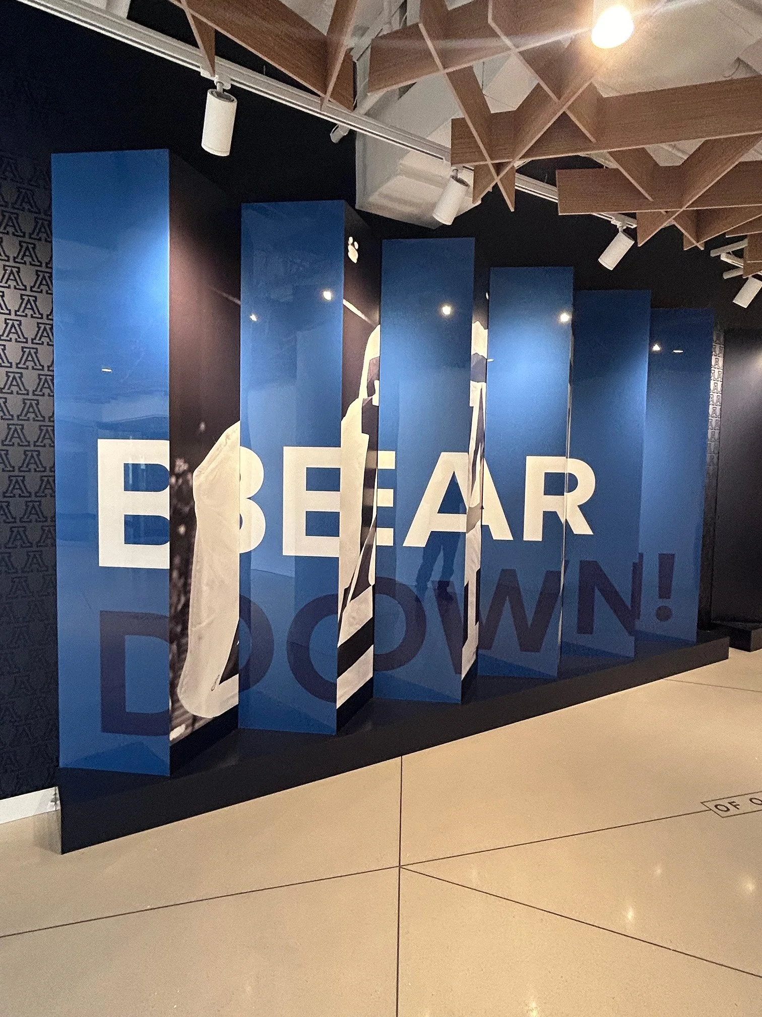airpark-signs-uofa-4.jpg