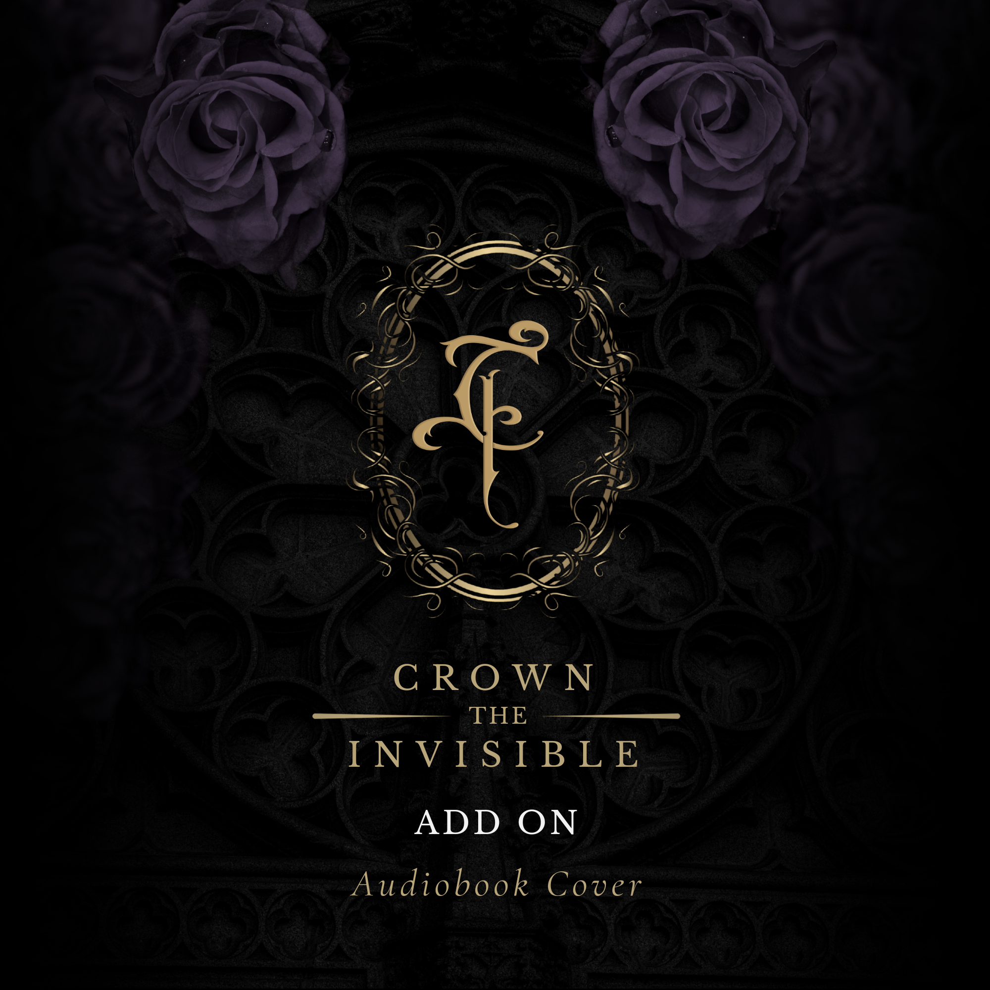 ADD ON - AUDIOBOOK COVER