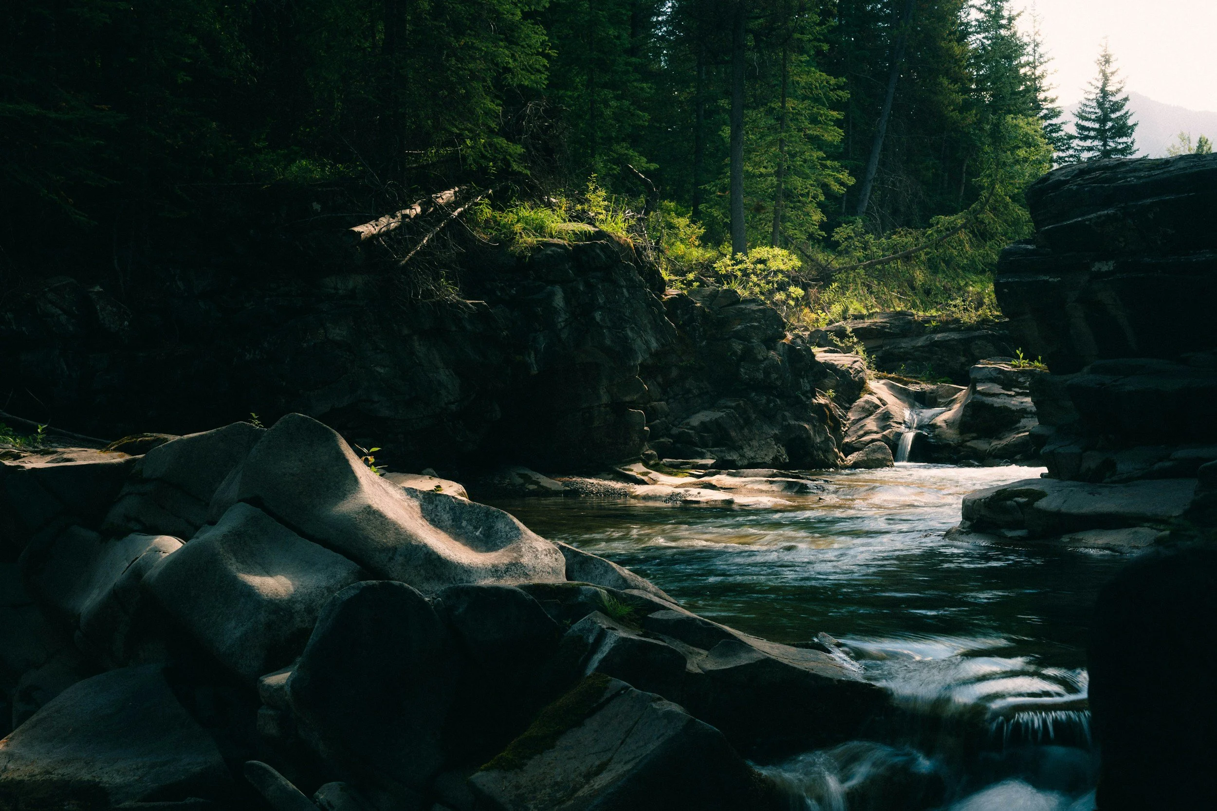 A serene forest scene with a flowing stream surrounded by rocks and tall trees.