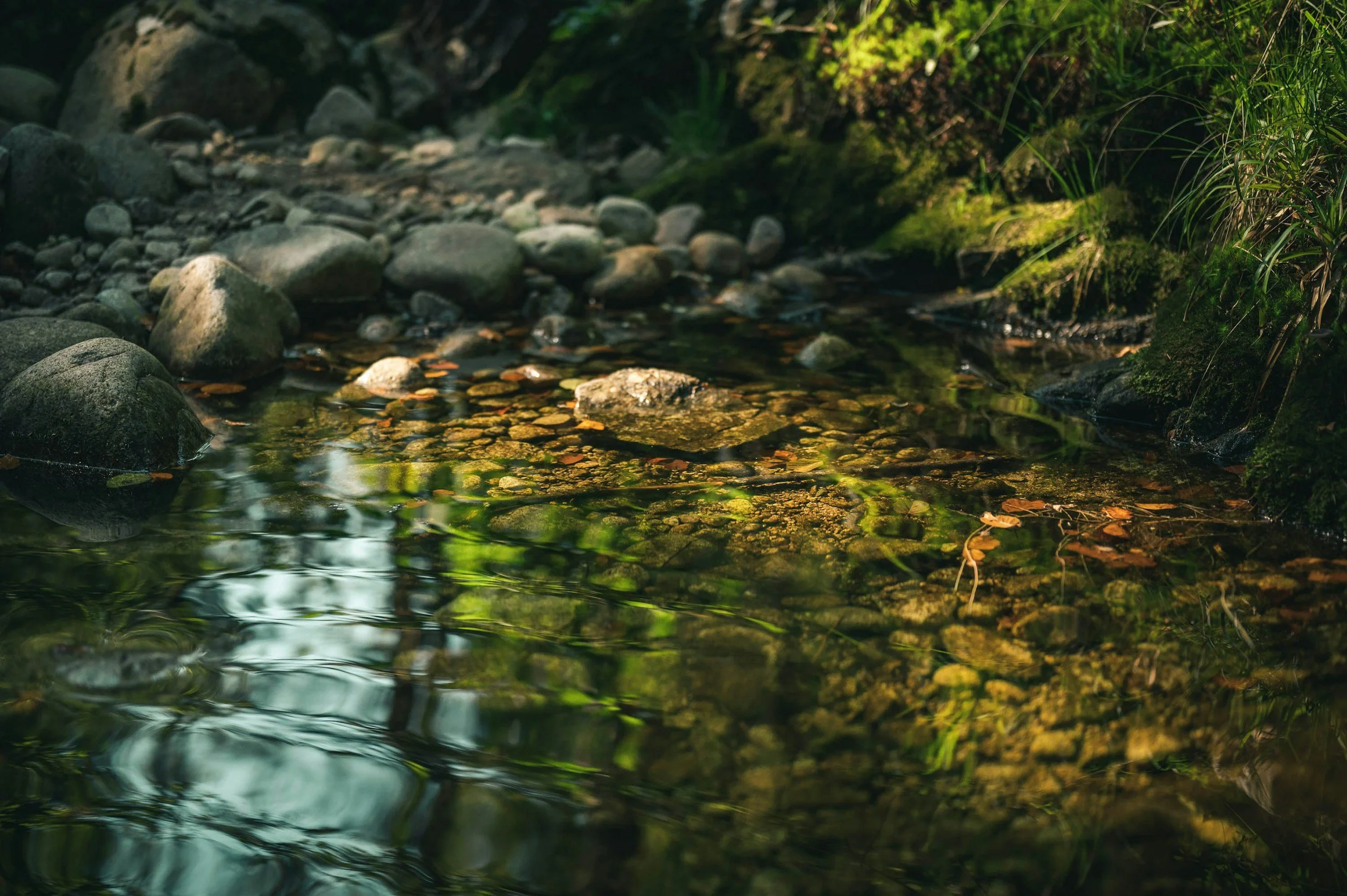 A close-up of a small, rocky stream with clear water, green moss on rocks, and lush greenery on the banks.