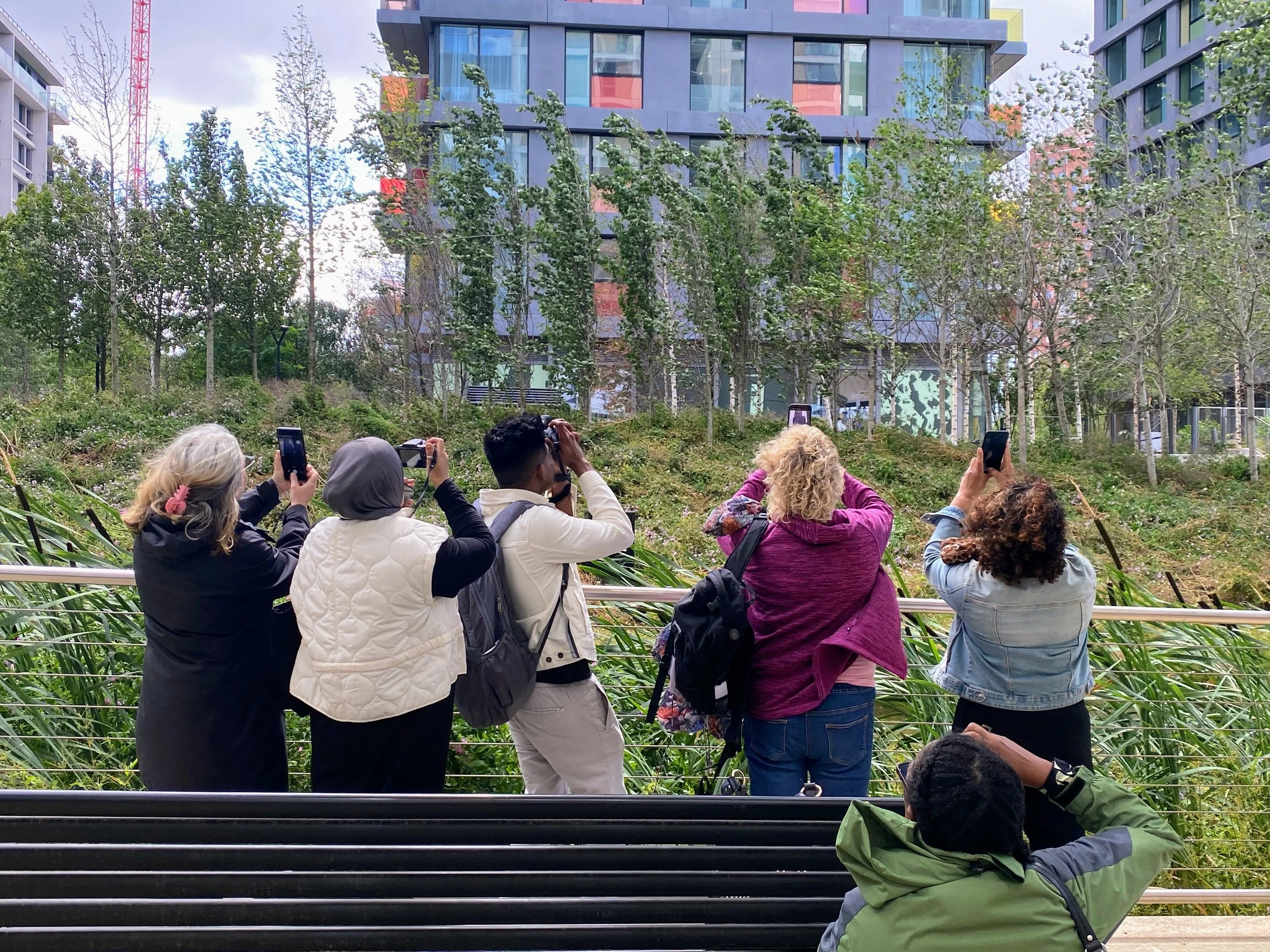 Reimagining Lyle Park