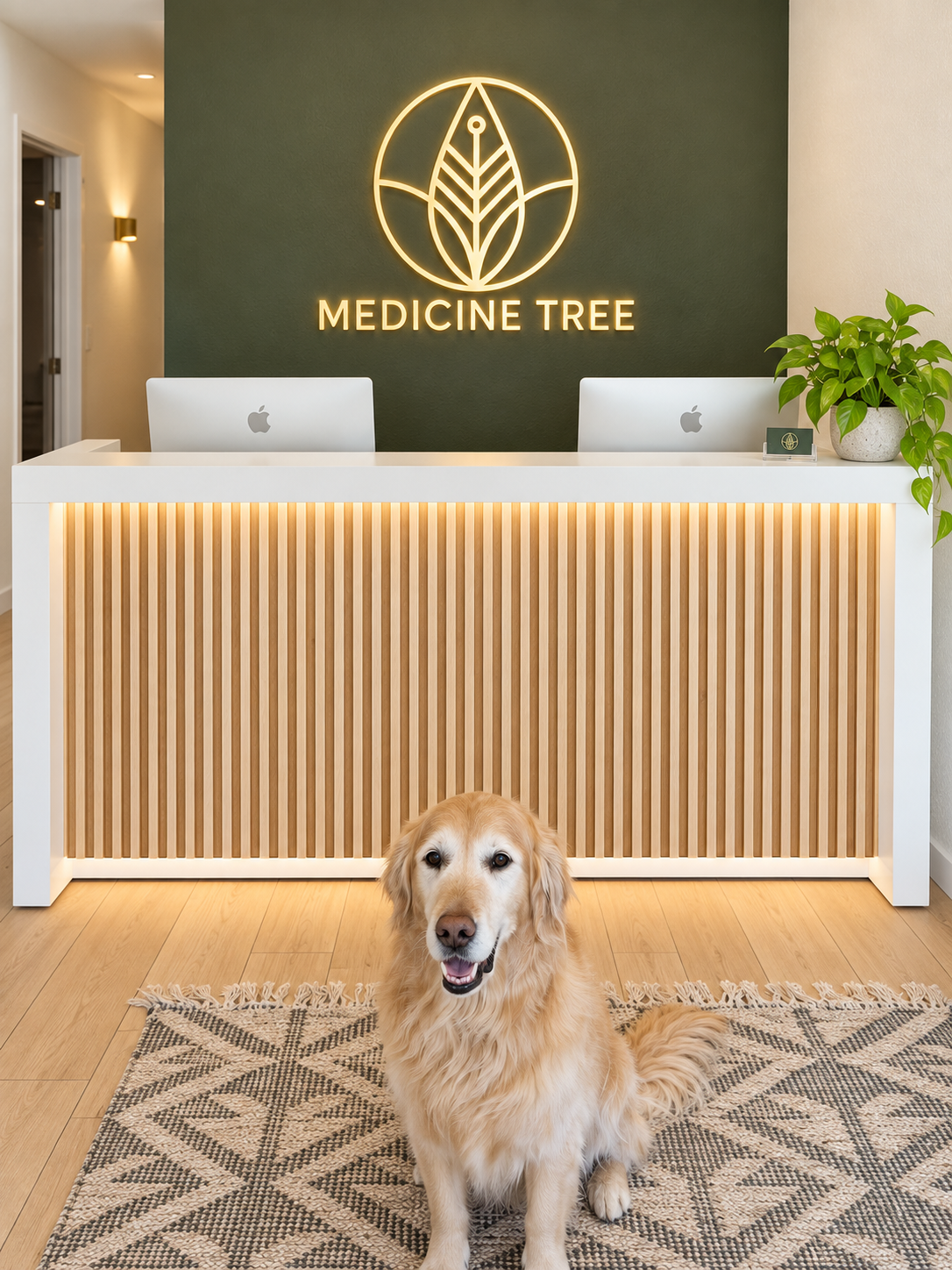 Reception area of a wellness or medical clinic named 'Medicine Tree' with a dog sitting on a patterned rug in front of a wooden reception desk, two Apple computers, a potted plant, and a green wall with a illuminated logo of a leaf inside a circle and the clinic's name.