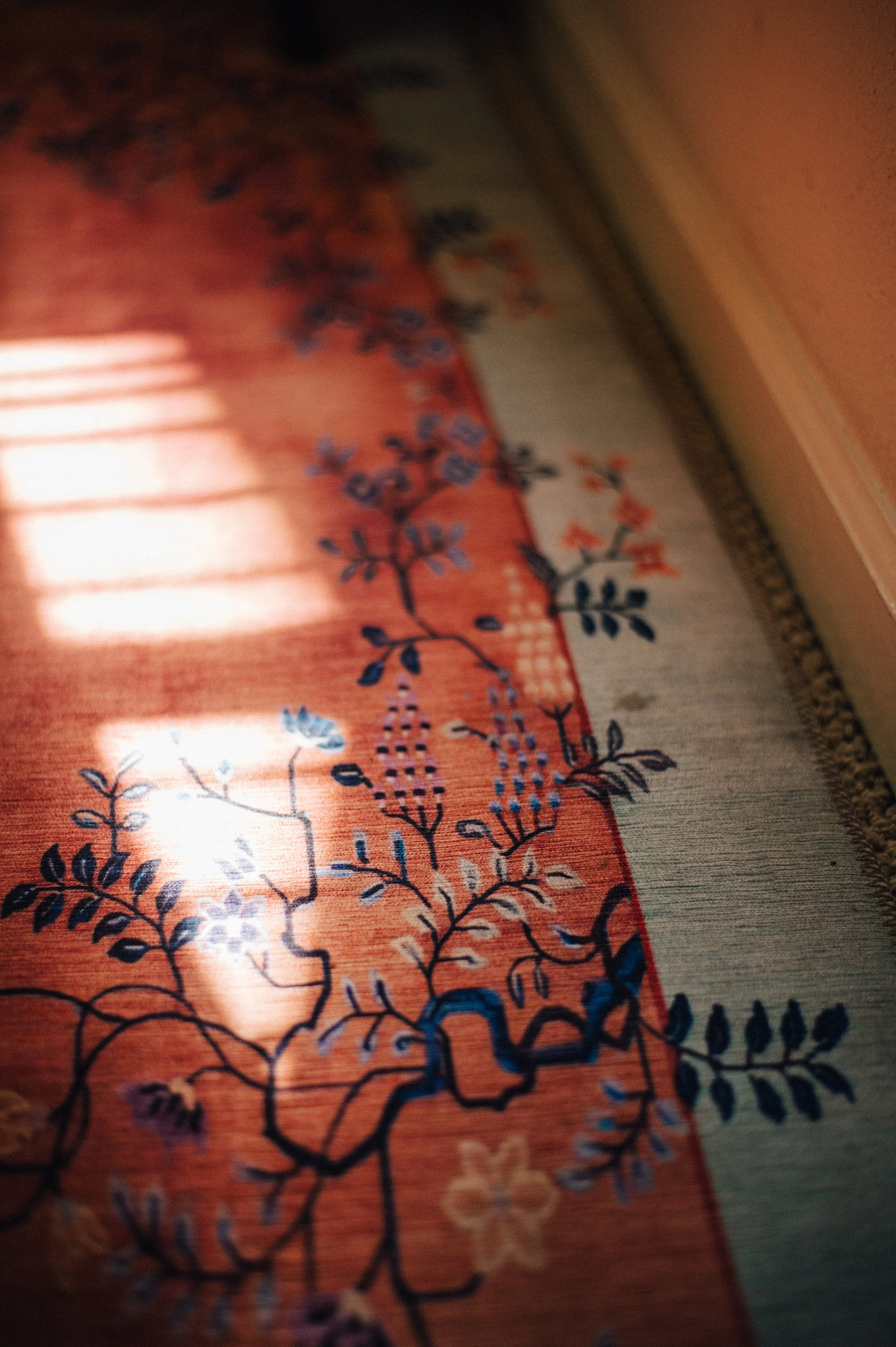 ALCHEMYDESIGN_TERRABELLA_0136.jpg