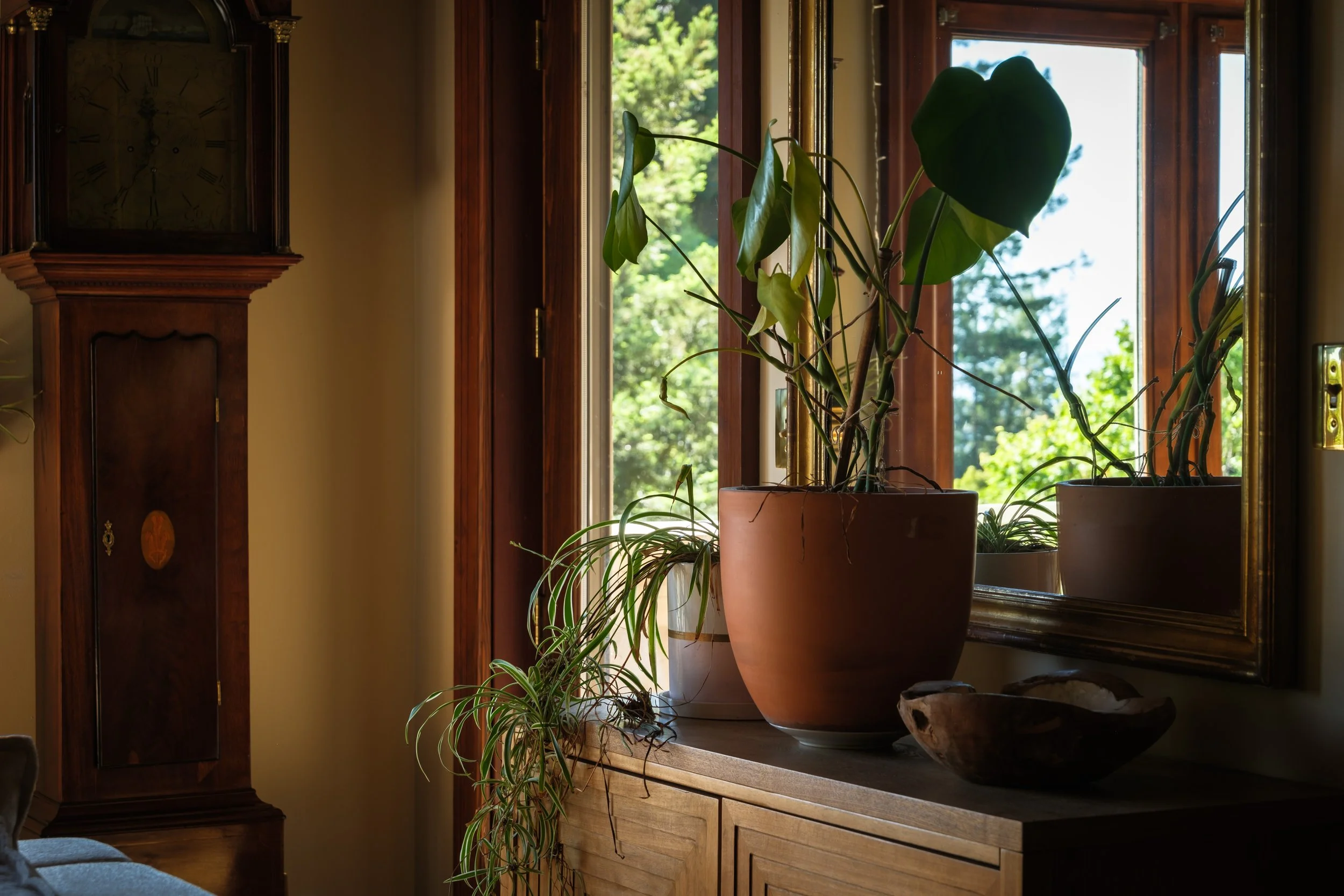 DSCF4337-HDR.jpg
