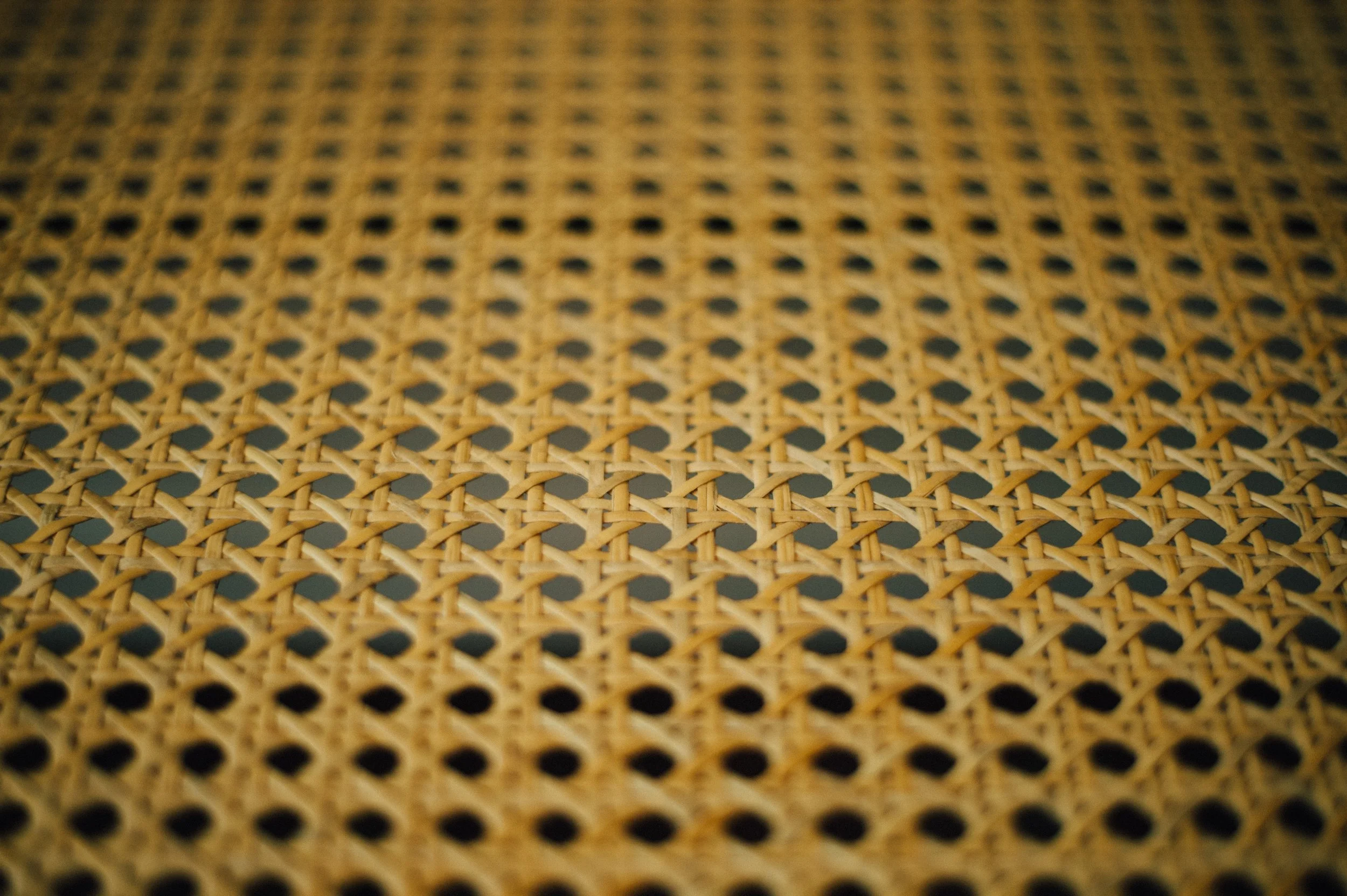 ALCHEMYDESIGN_TERRABELLA_0042.jpg