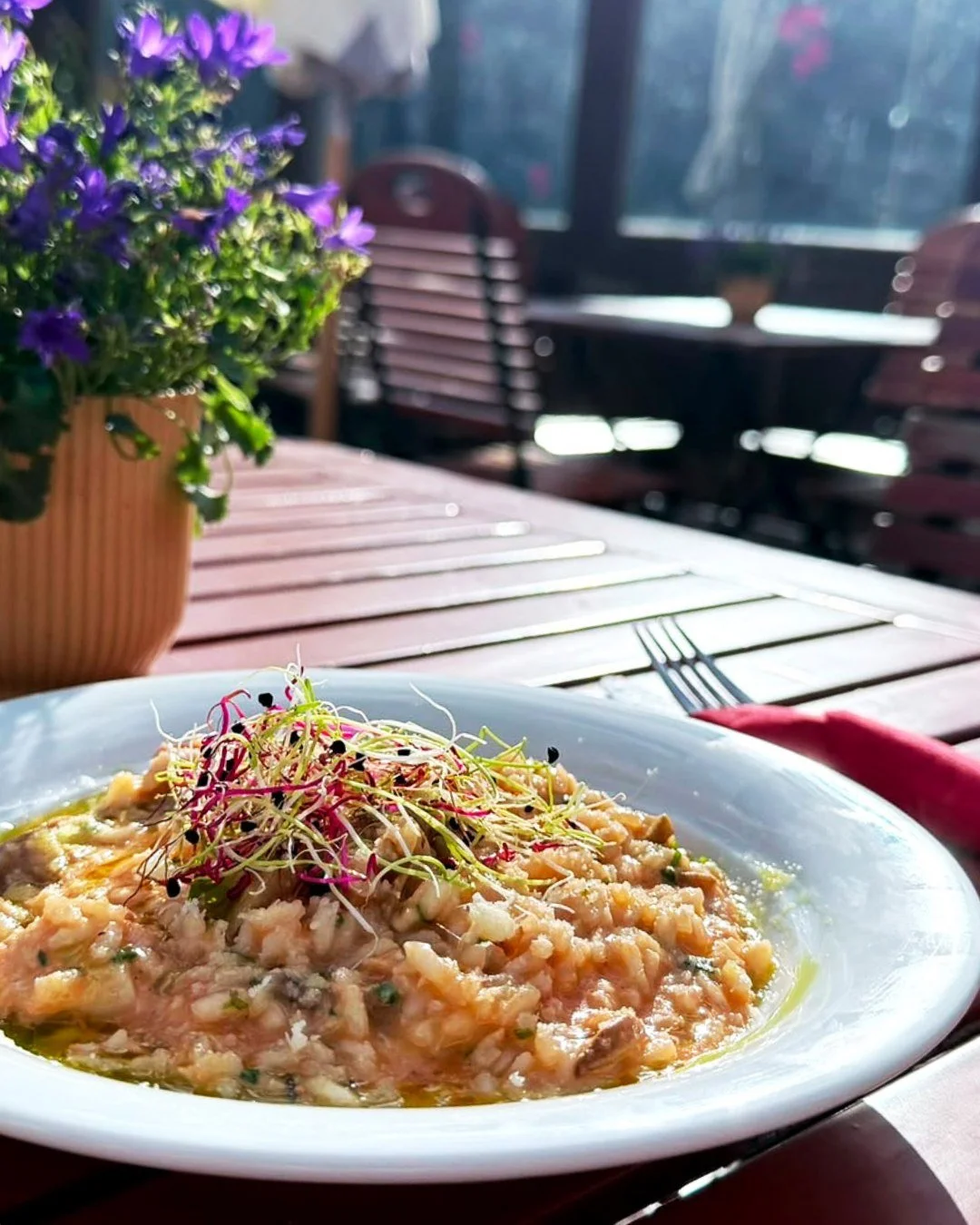 Was gibt es Besseres als eine gute Mahlzeit mit Seesicht? 👀 

#rotiforelle #lenzerheide