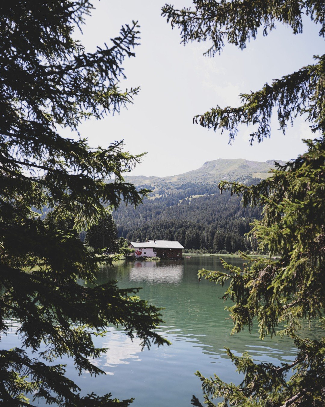 Unser eigenes M&auml;rchenland❤️

#rotiforelle #lenzerheide
