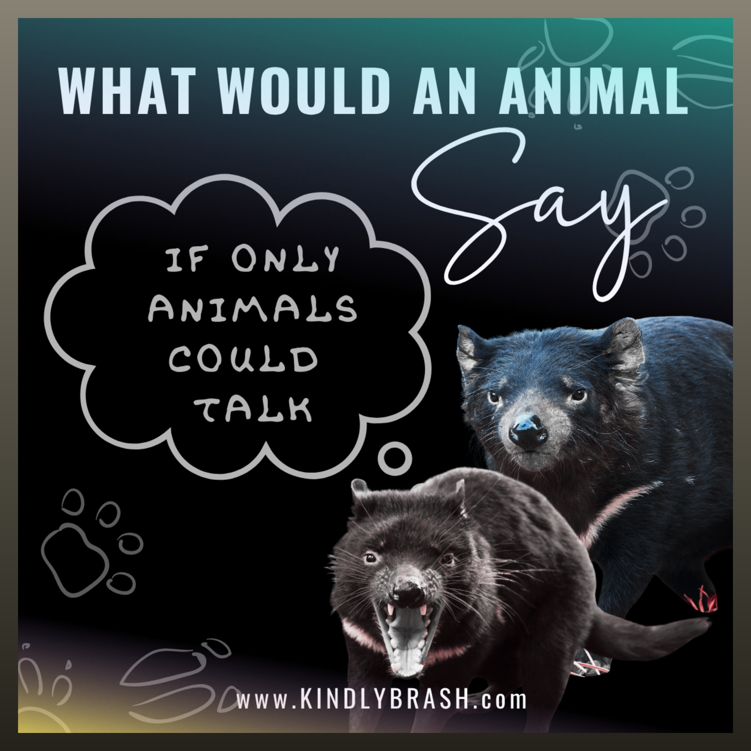 Be Less Aggressive Towards Others: Advice from a Tasmanian Devil 