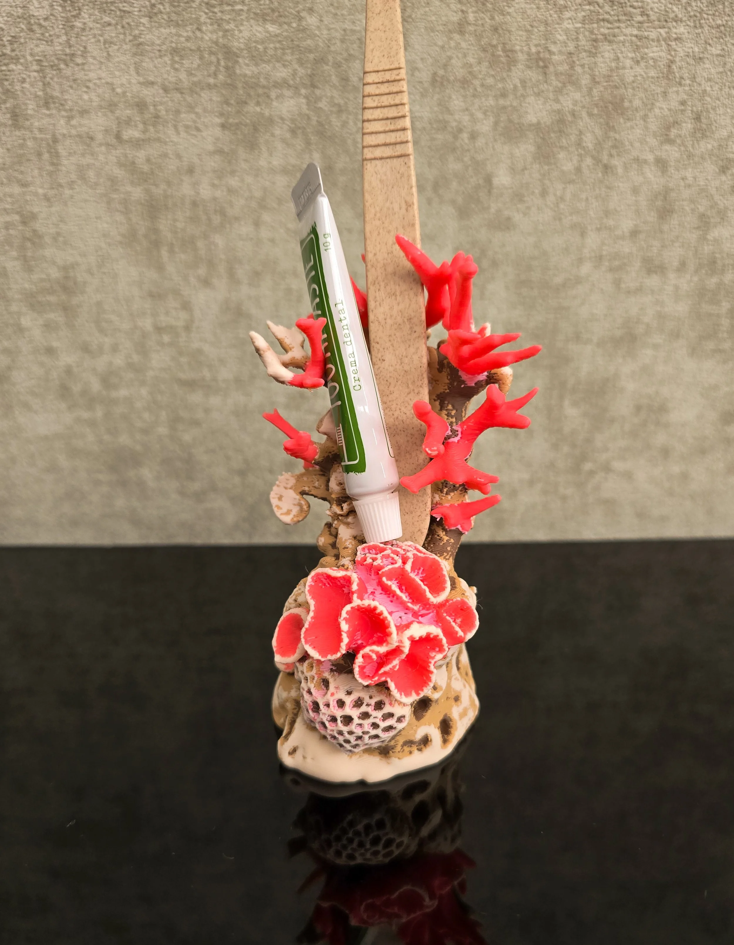 Coral Decorativo Multifuncional