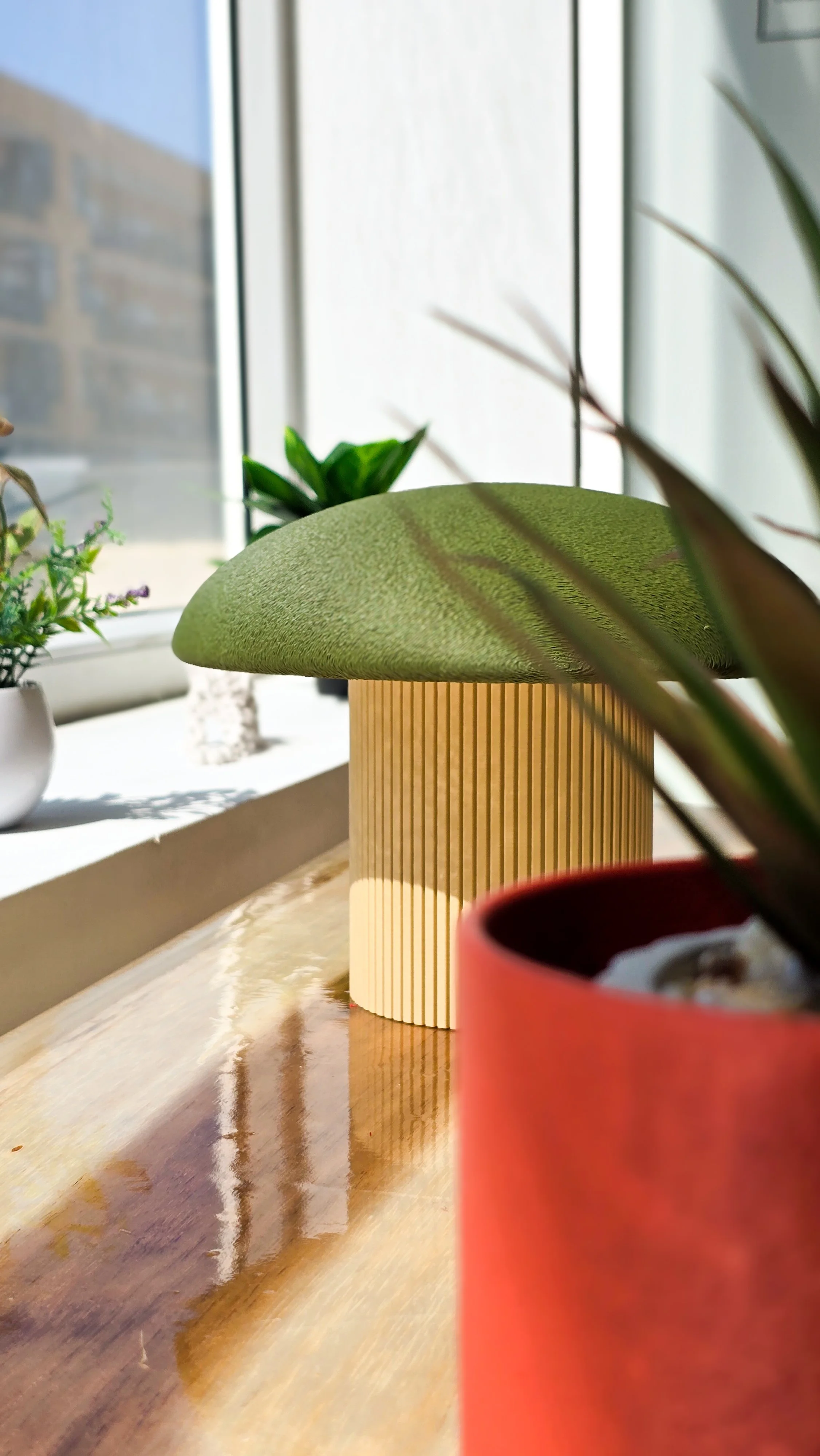 Vaso de cerâmica com planta de folha longa em primeiro plano, ao fundo há uma mesa com mais plantas e janelas com luz natural.