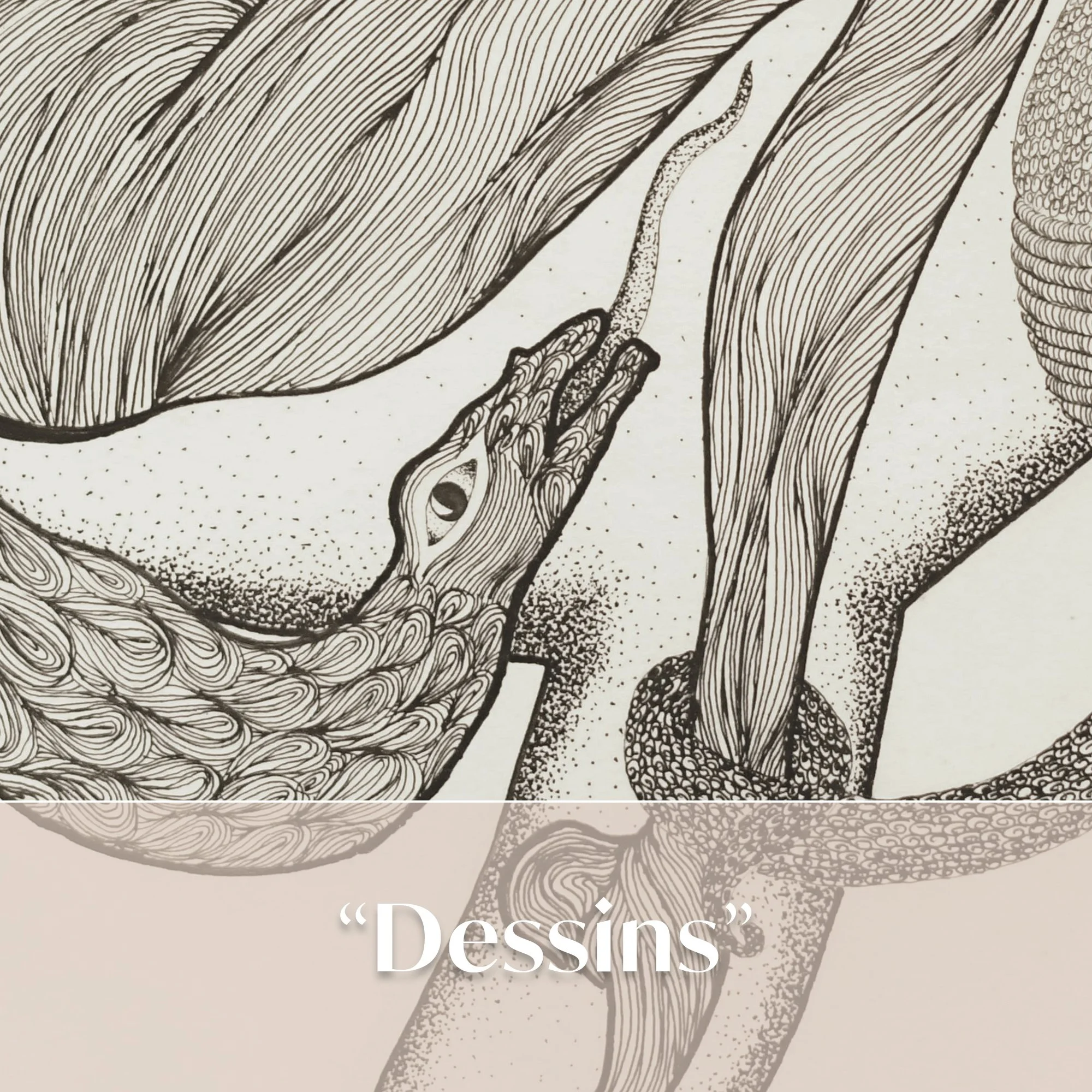 VIEW_dessins.jpg