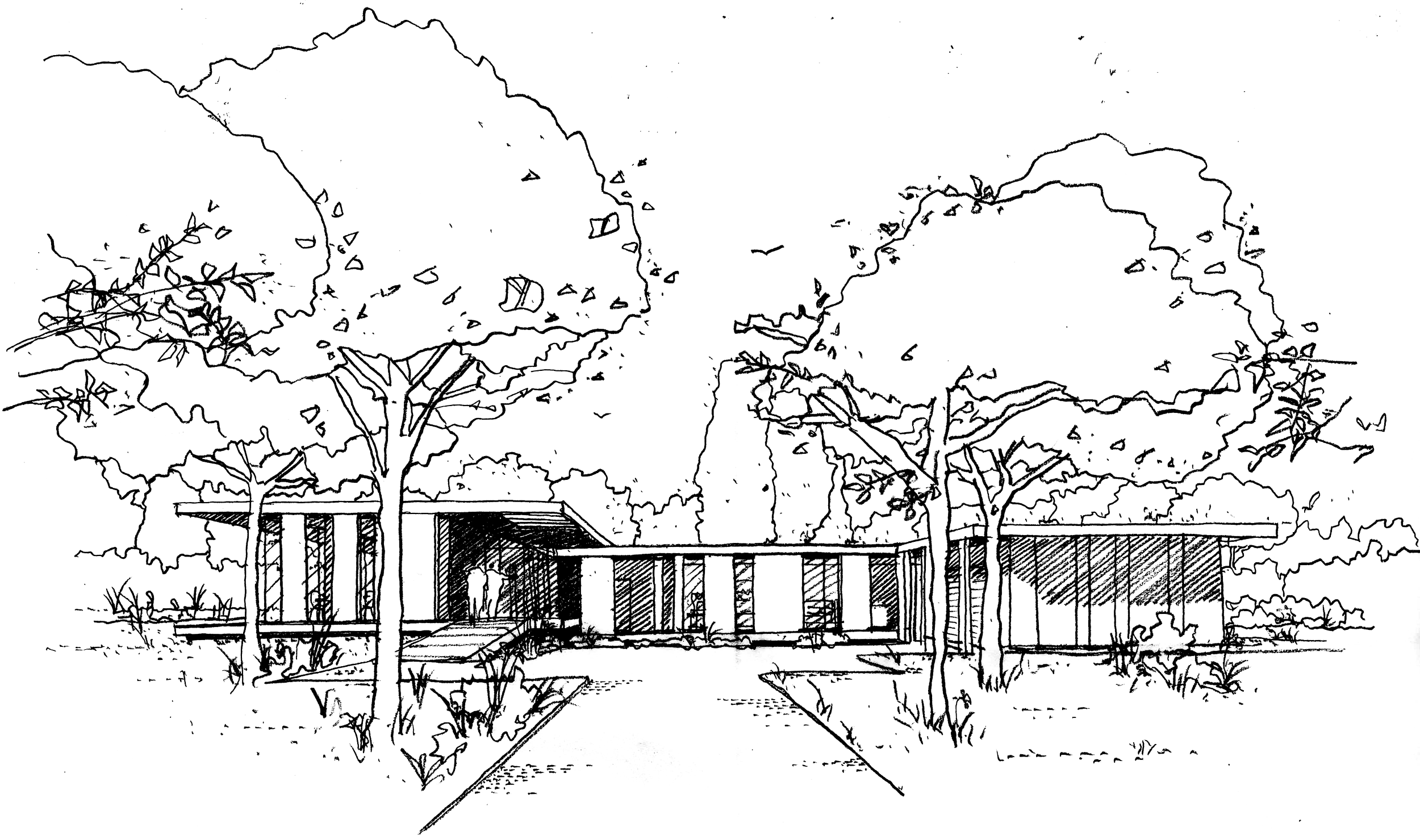 Outline drawing of a modern building with large windows, surrounded by trees and a pathway, under a starry sky.
