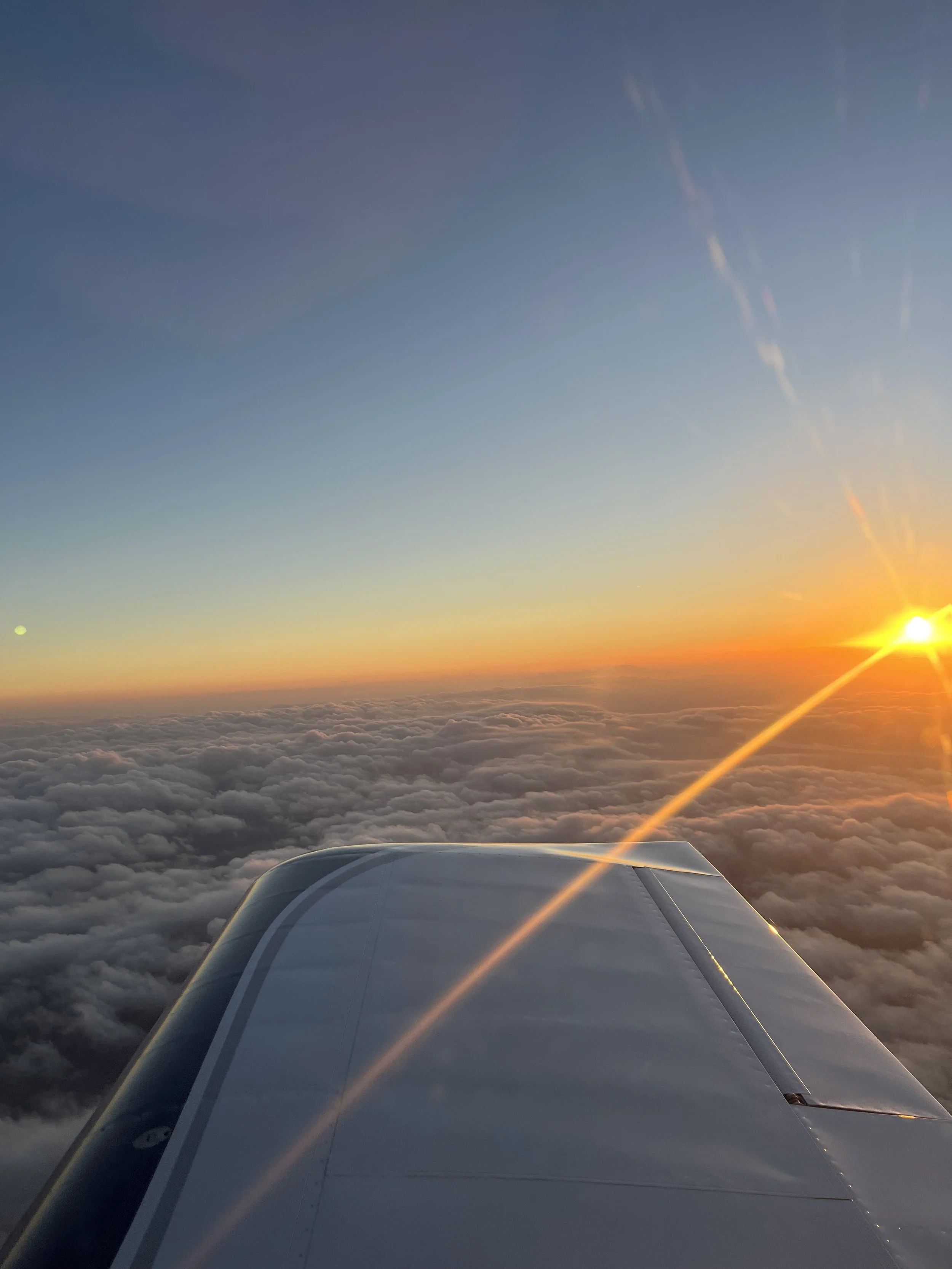 Flight Review