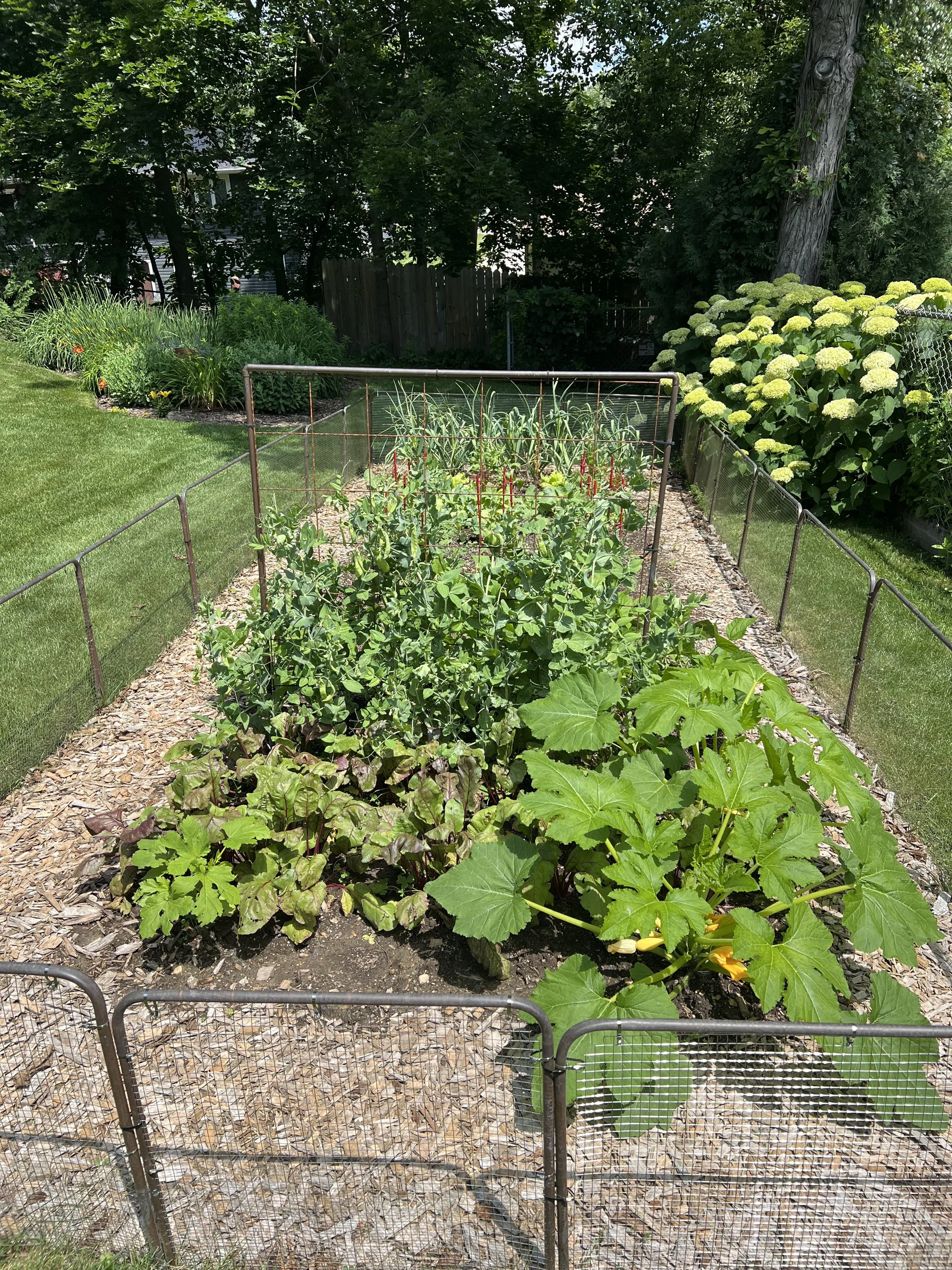 Copper Rabbit Fence Garden