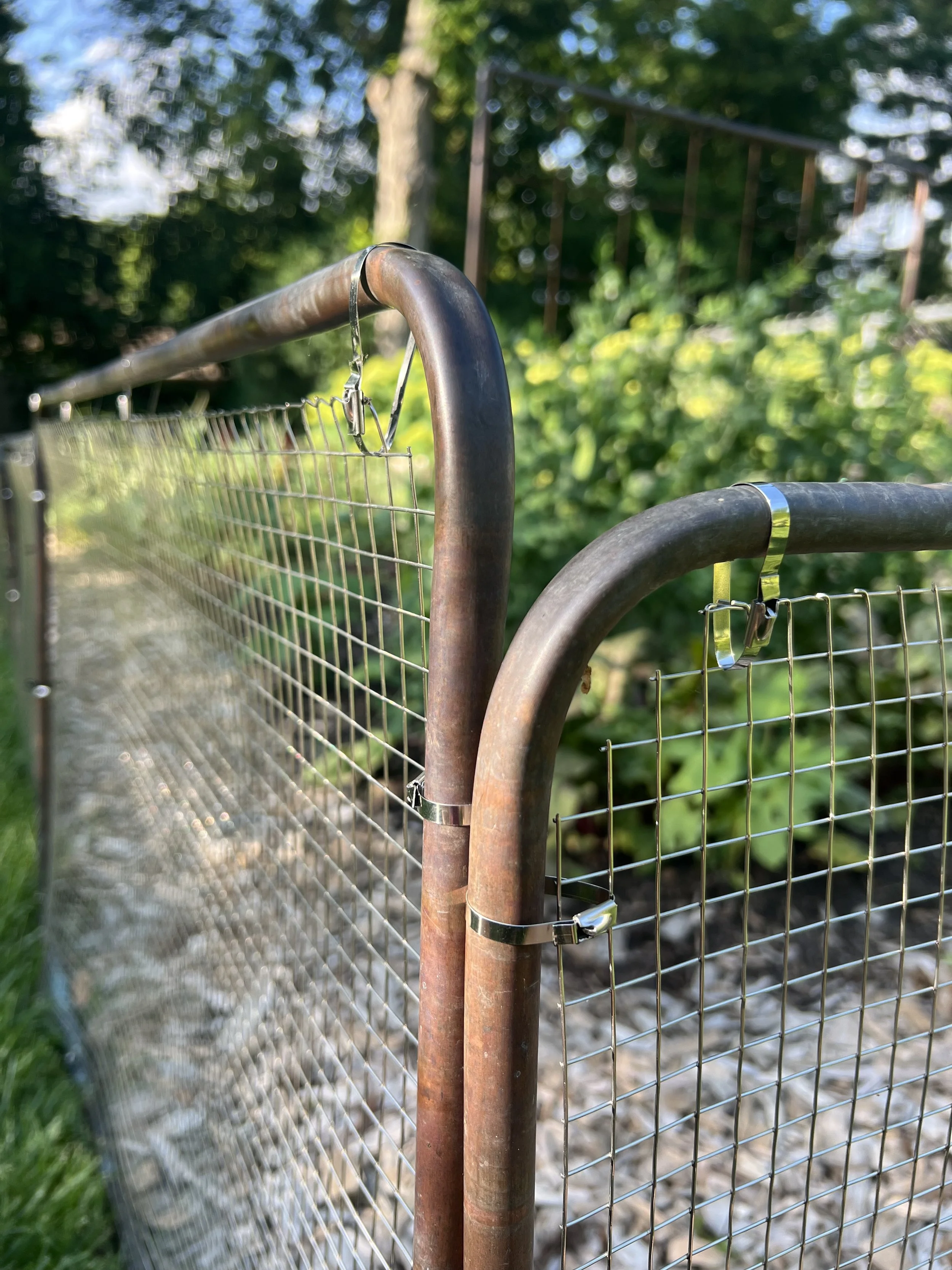 Detail of Copper Rabbit Fence