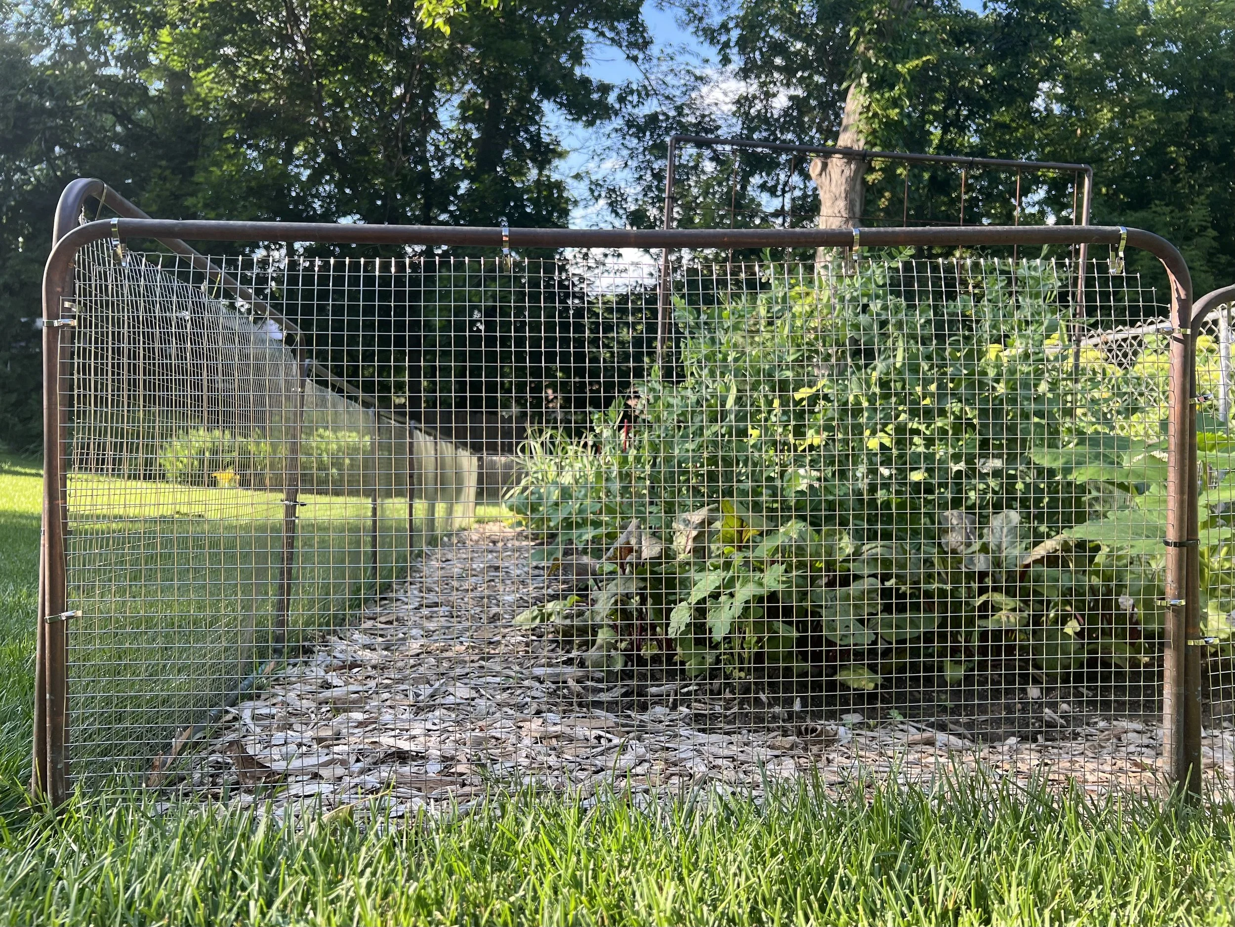 Copper Rabbit Fence