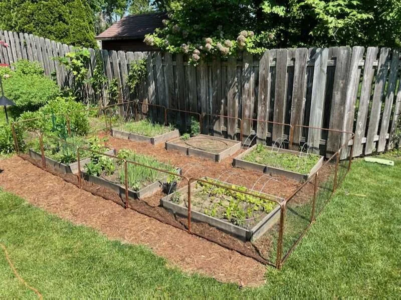 Copper Rabbit Fence with Raised Garden Beds 