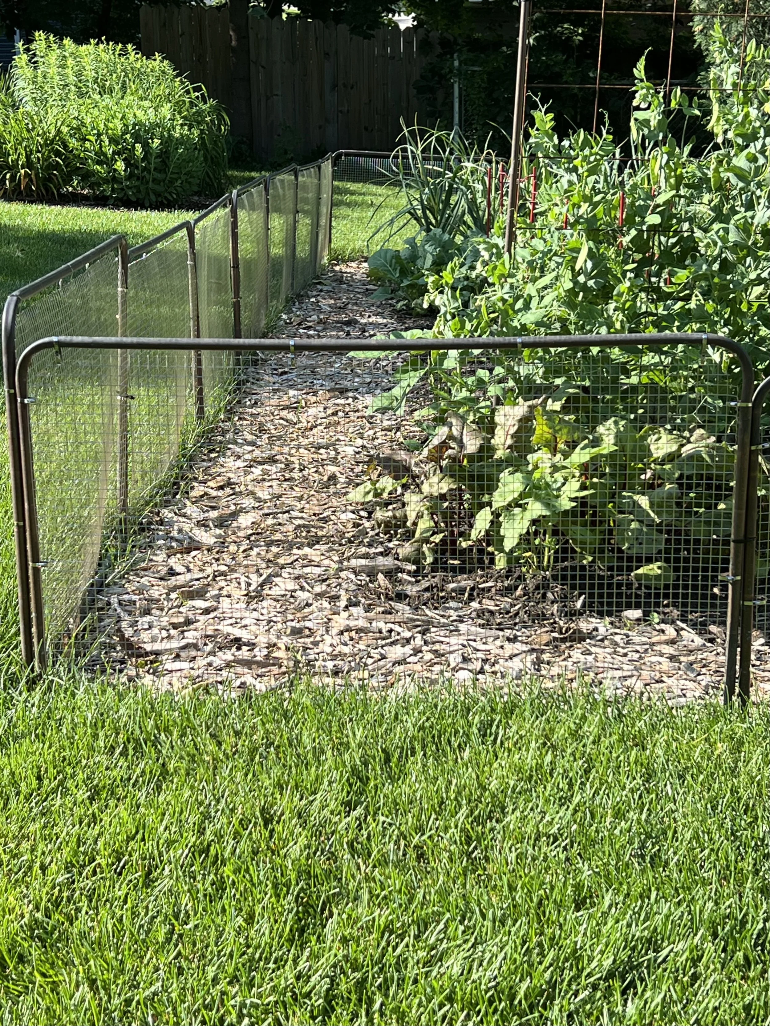 Copper Rabbit Fence