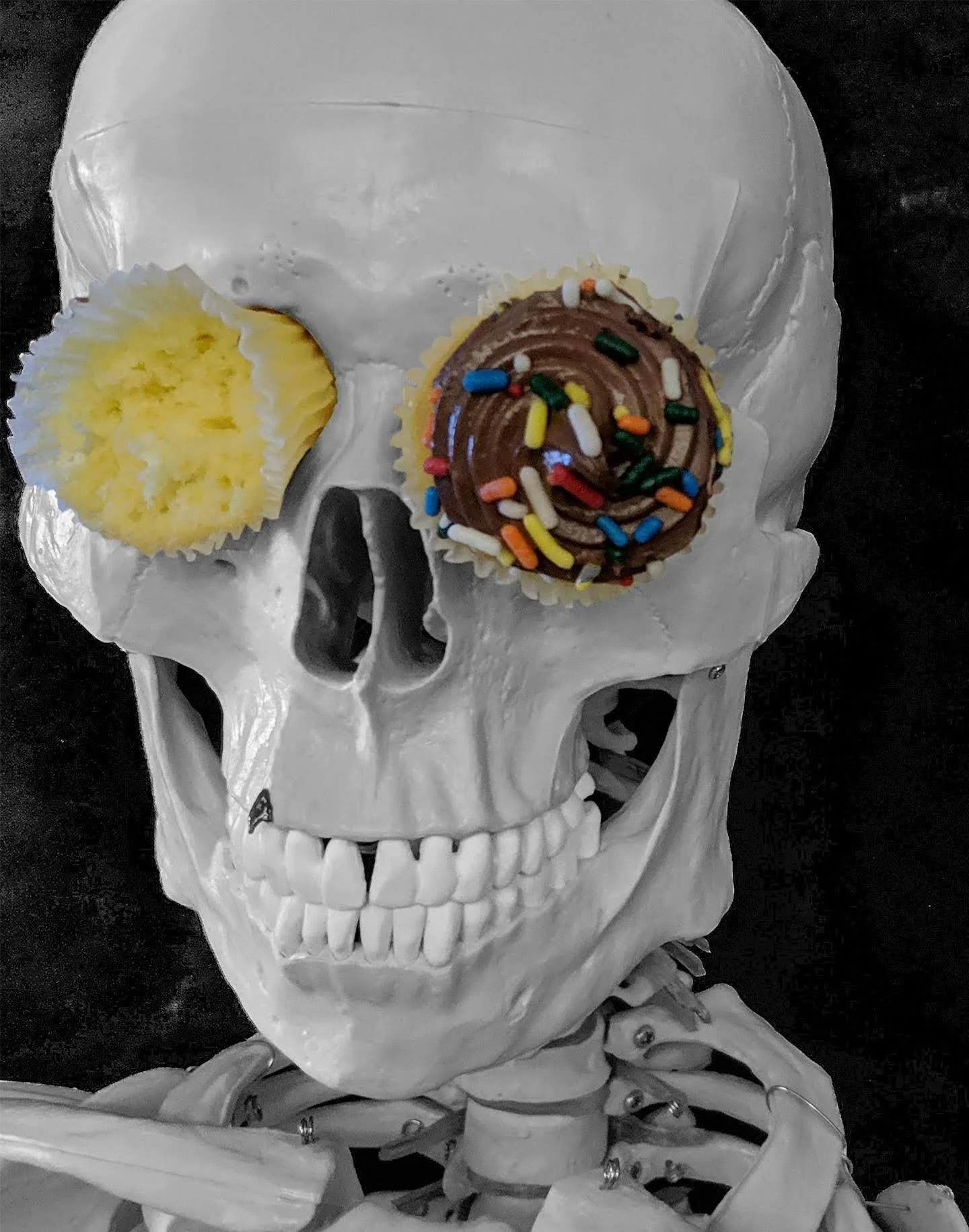 Cupcake!.jpg