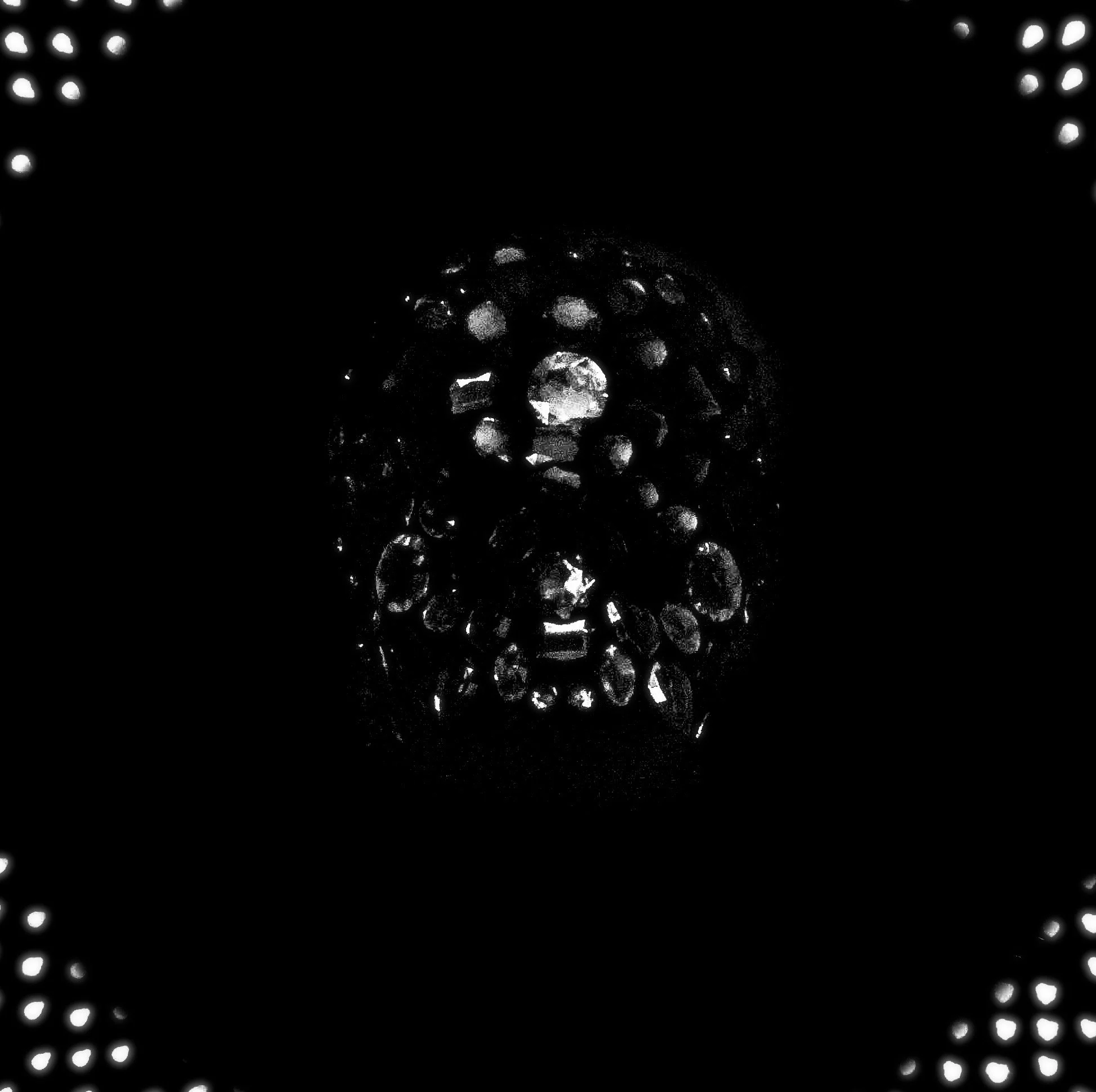 11A9BD26-3F6B-4A78-9FA0-2EEC70765158.jpeg
