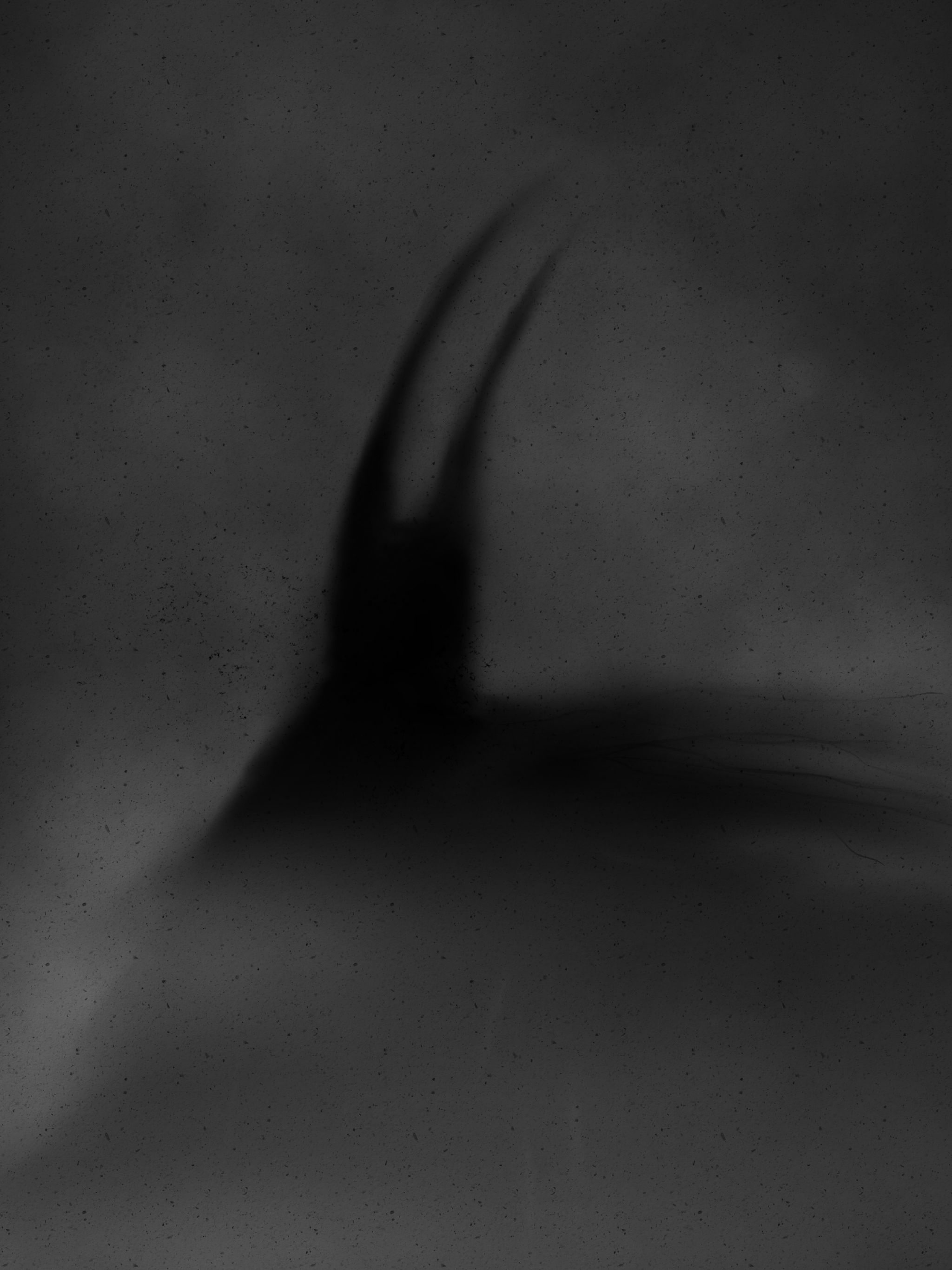 Untitled_Artwork (1).png