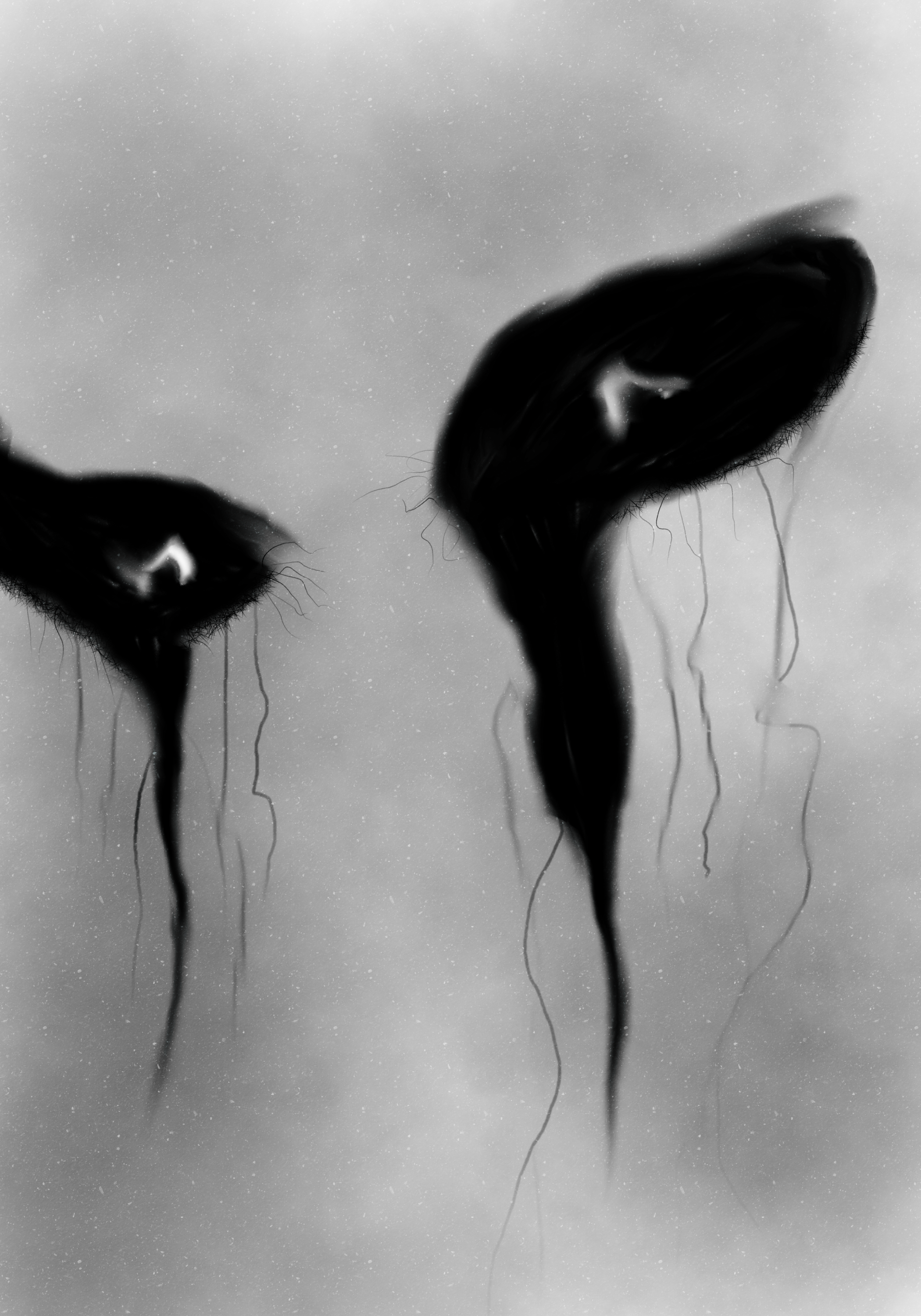 Eyes.png
