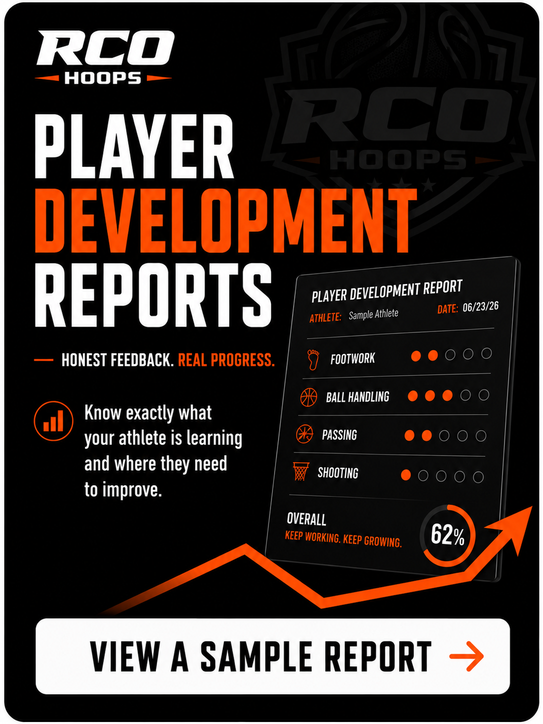 Landing - Deve Reports.png