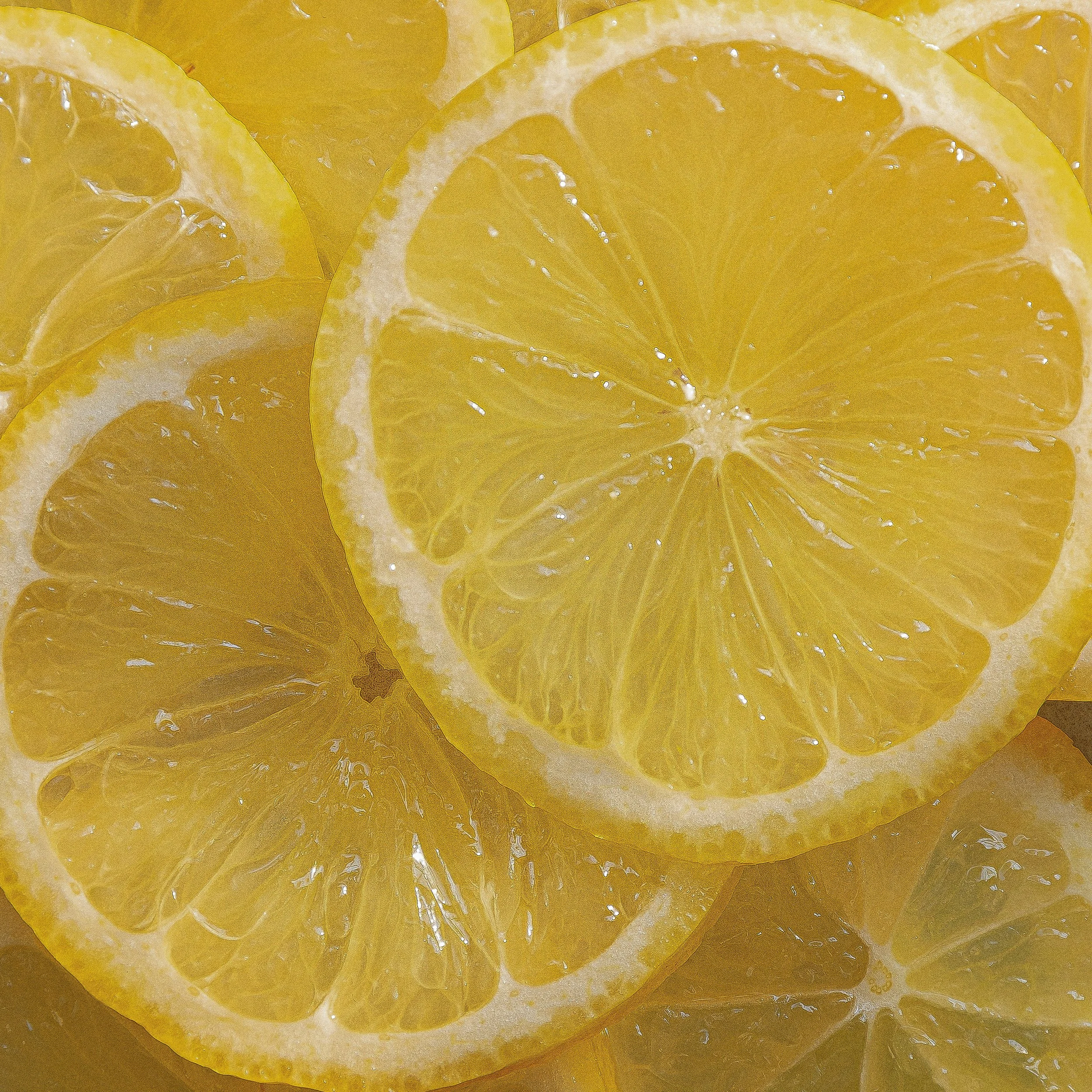 Close-up of lemon slices with bright yellow rind and translucent pale yellow interior.