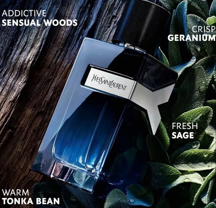 YSL Y EDP 100ml men's fragrance with apple bergamot ginger and sage.