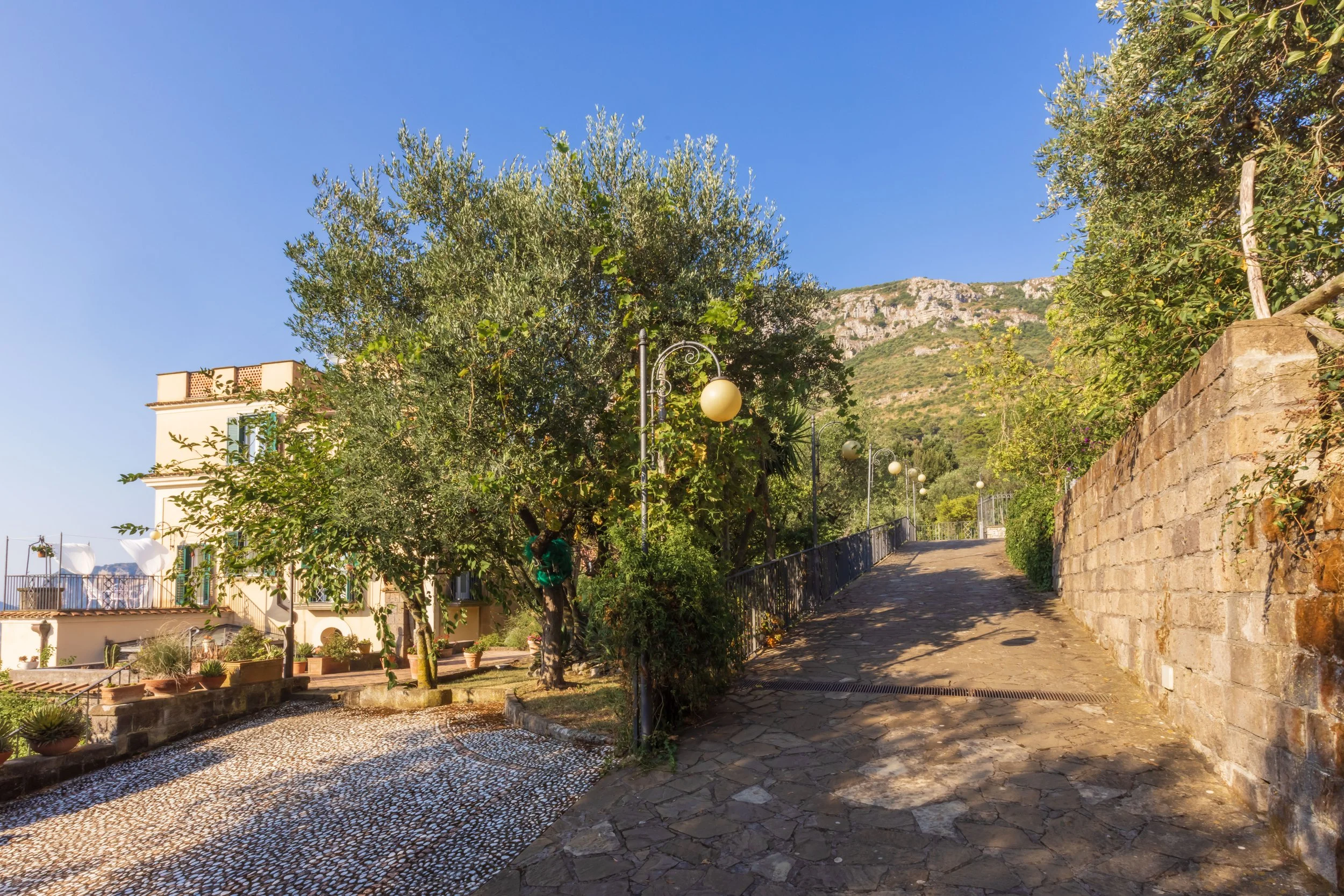 spazio esterno verde villa rosaldo amalfi e sorrento