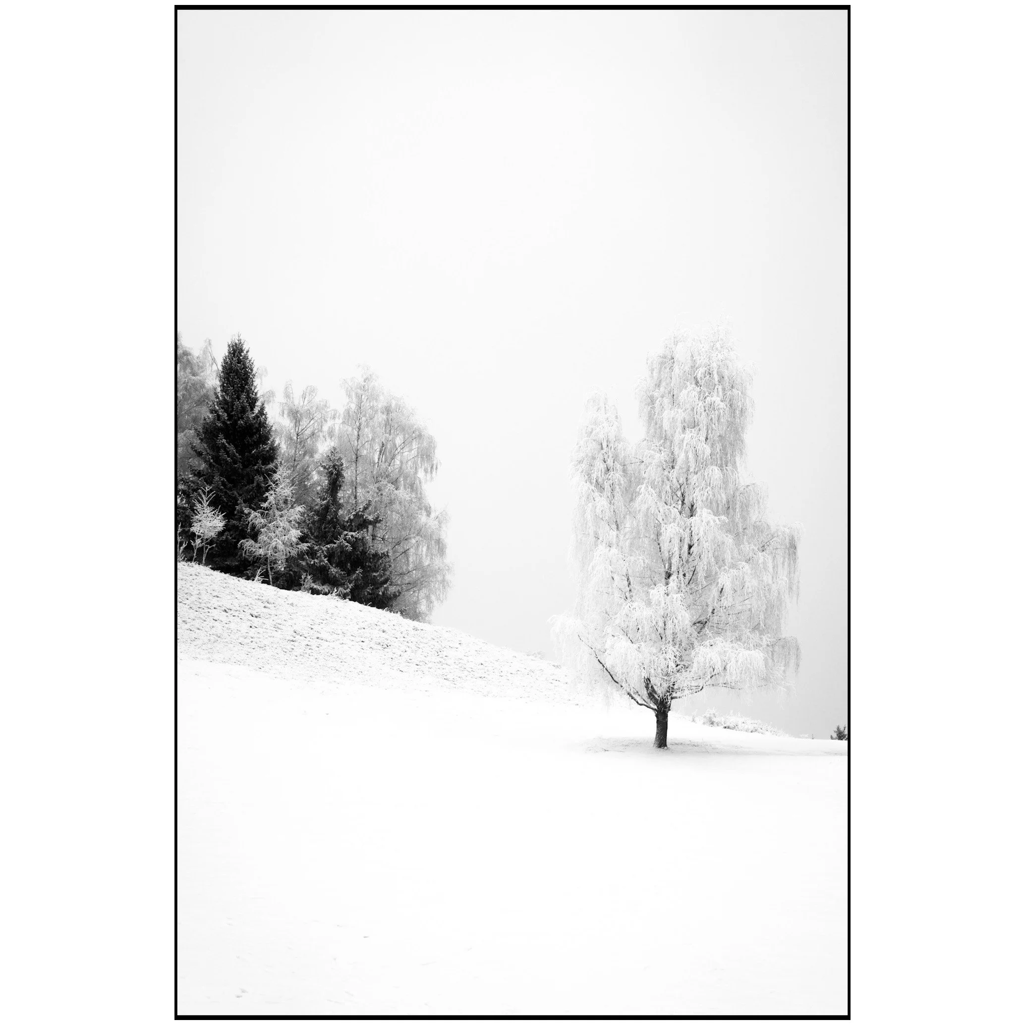 Les Sommets / Saint Nicolas 3
