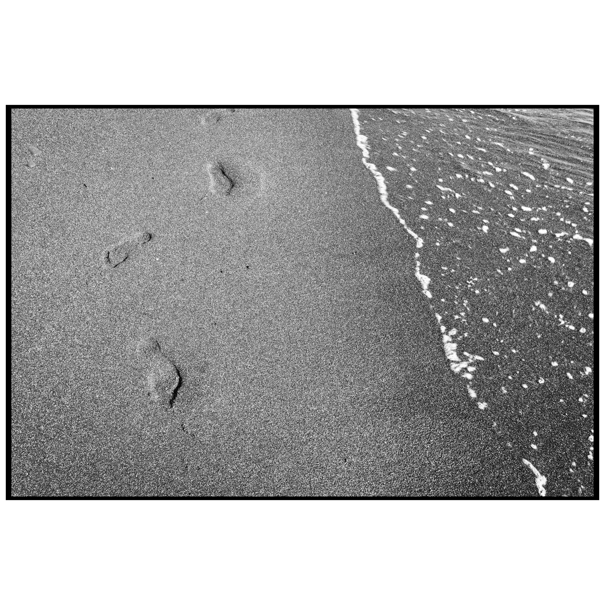 IMG_3955ap.JPG
