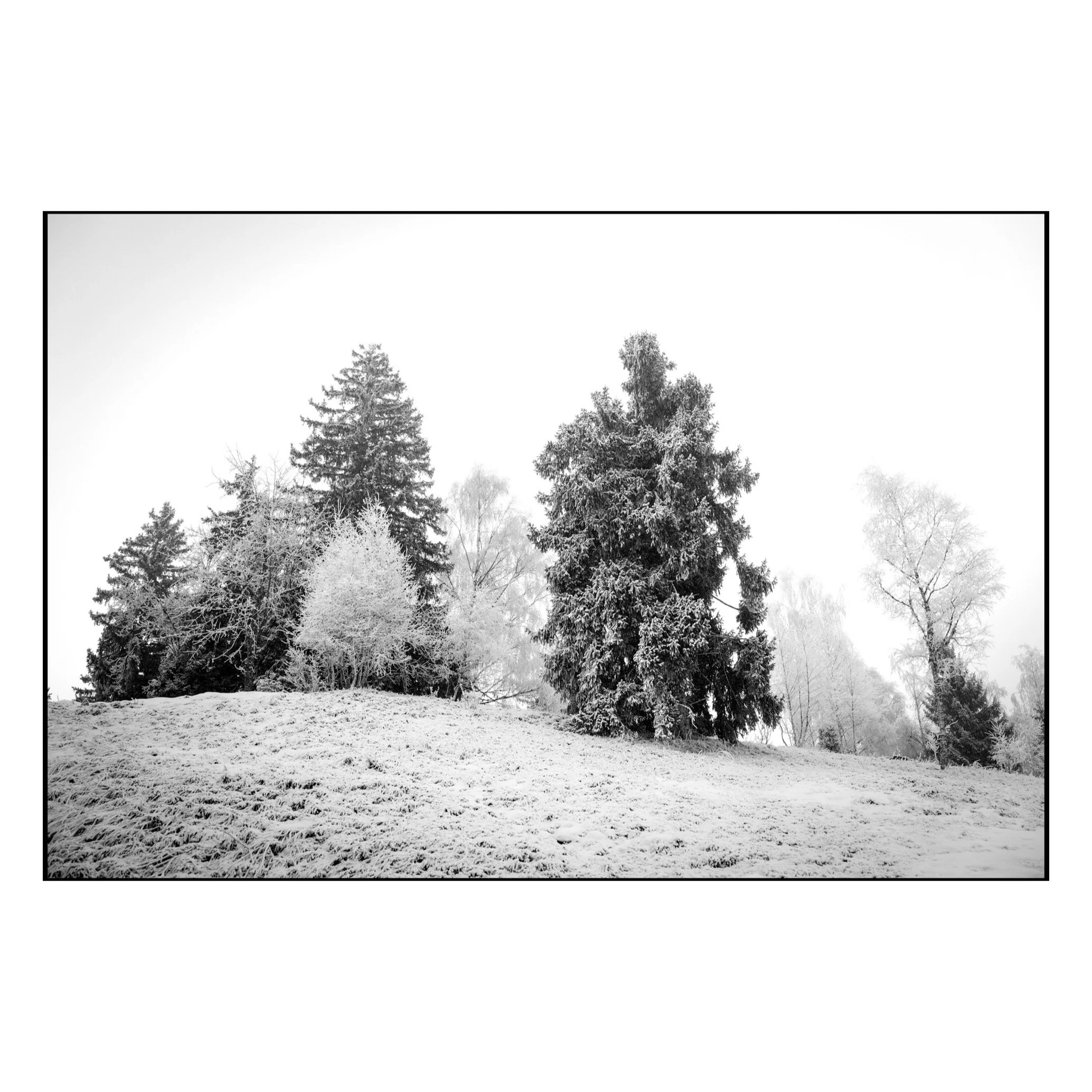 Whitagram-Image.JPG