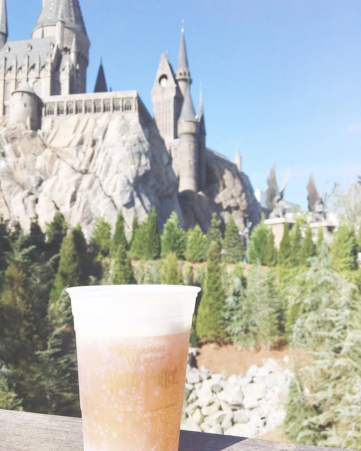 A plastic cup with a beverage in front of the Hogwarts Castle from Harry Potter at Universal Studios, with trees and rocky terrain in the background.