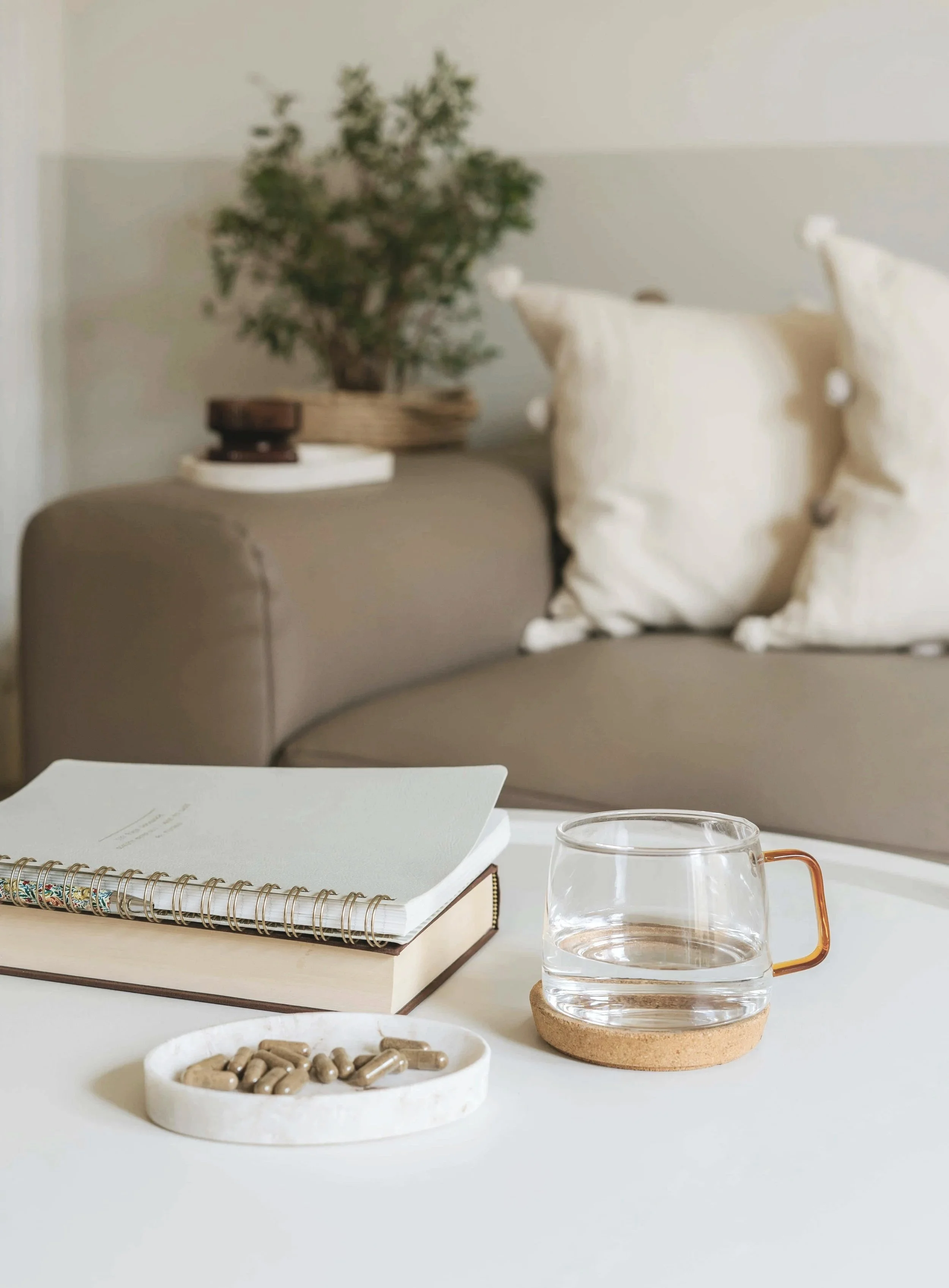 A scene with a book, a spiral notebook, and a glass of water on a table. In the background, there are beige pillows and a plant on a shelf.