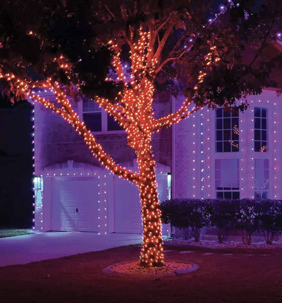 A house decorated with colorful Christmas lights, featuring a tree wrapped in red and purple string lights outside.