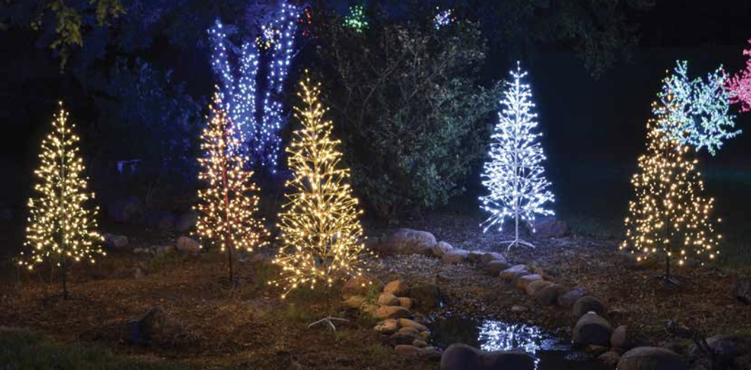 Colorfully lit Christmas trees surrounding a small pond at night.