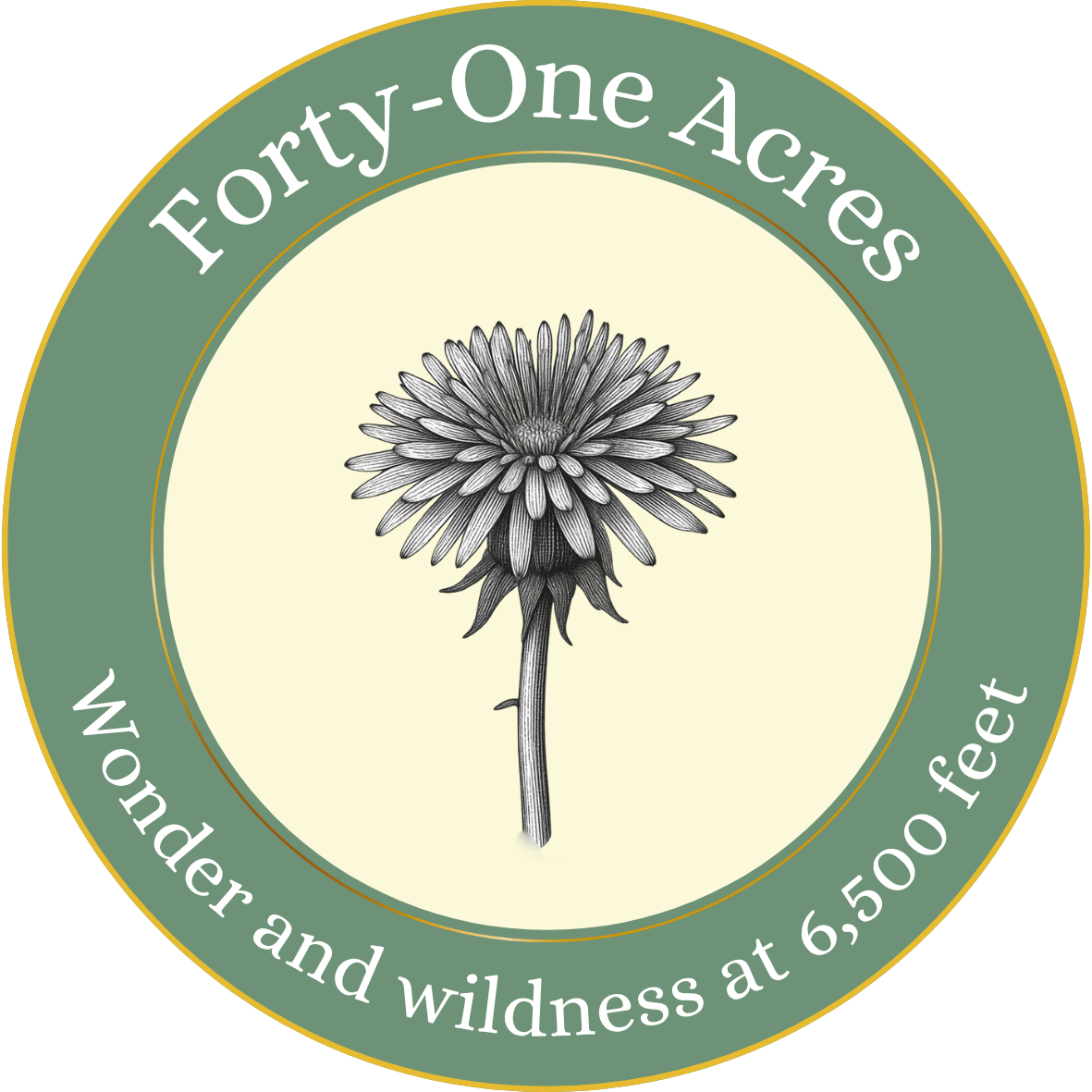 Forty-One Acres