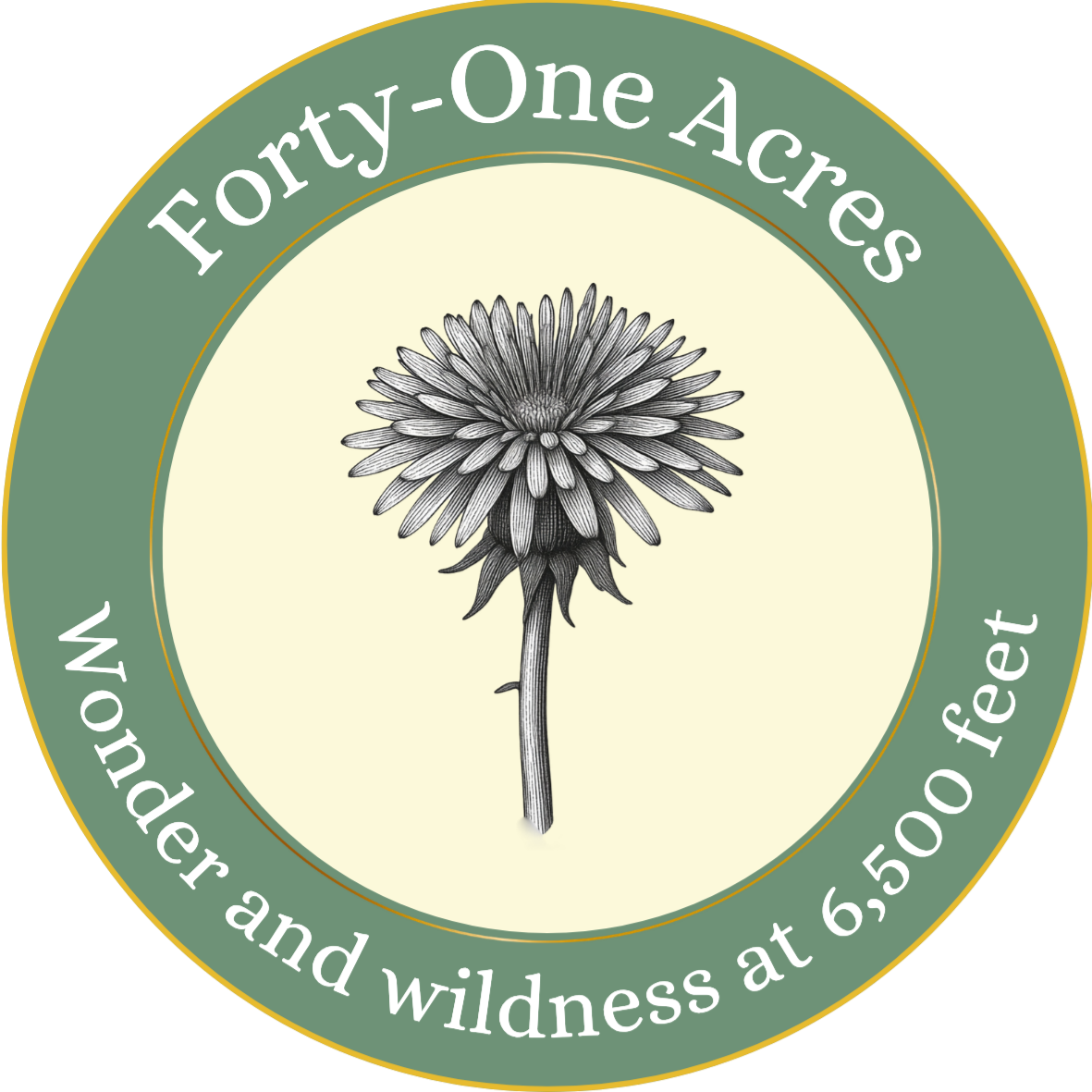 A circular logo with a dark green border and white text that reads "Forty-One Acres" at the top and "Wonder and wildness at 6, 500 feet" at the bottom. The center features a detailed black and white illustration of a dandelion.