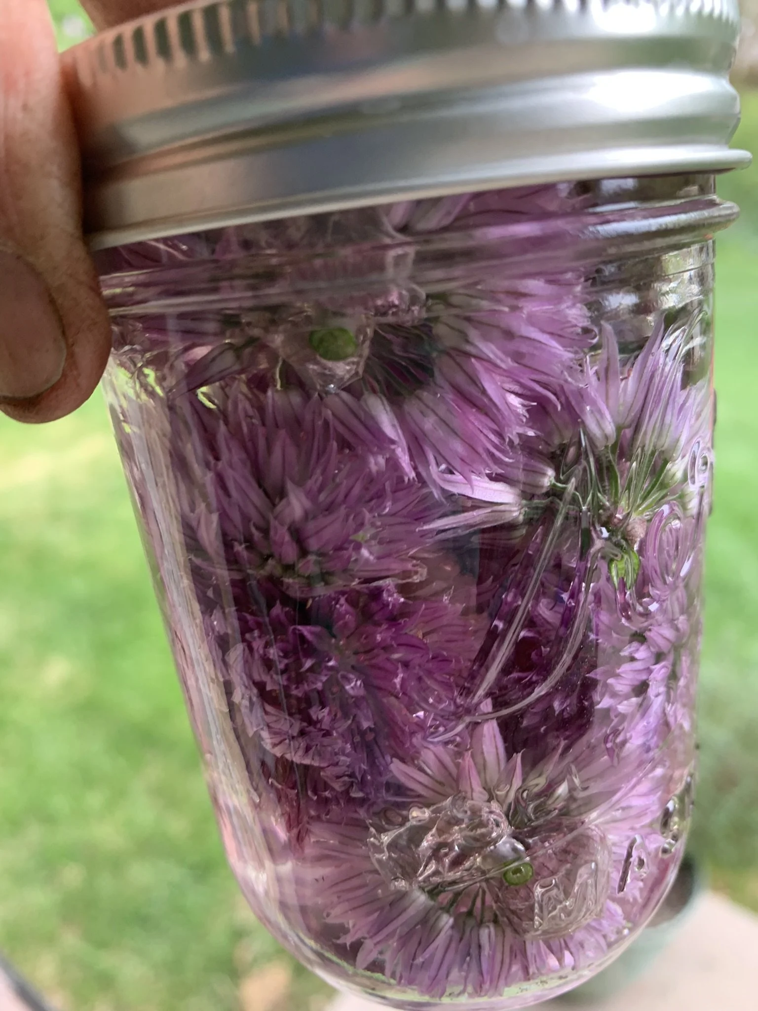 The Forty-One Acres Homestead Gardens produce a variety of cooking essentials, like this jar of chive flower vinegar.