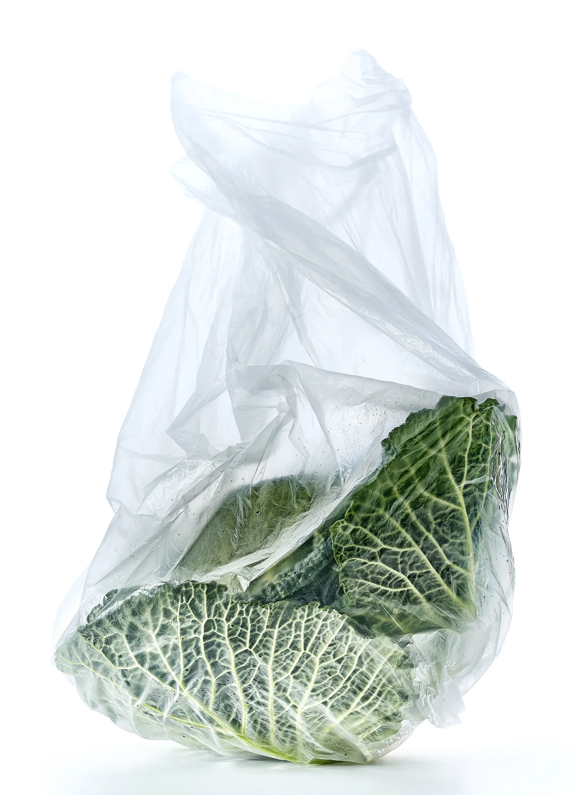 het jaar van de kool-02.jpg