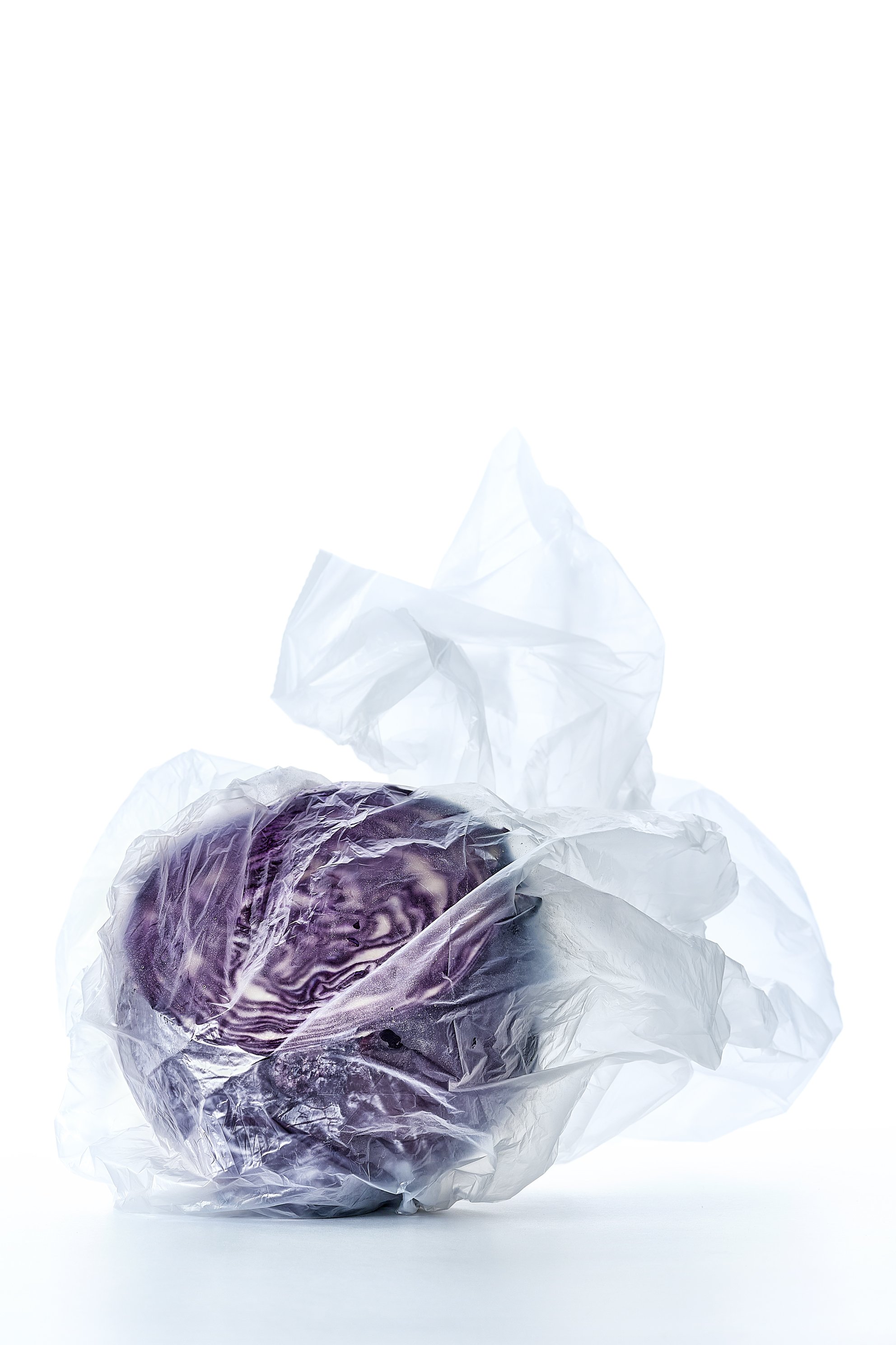 het jaar van de kool-03.jpg